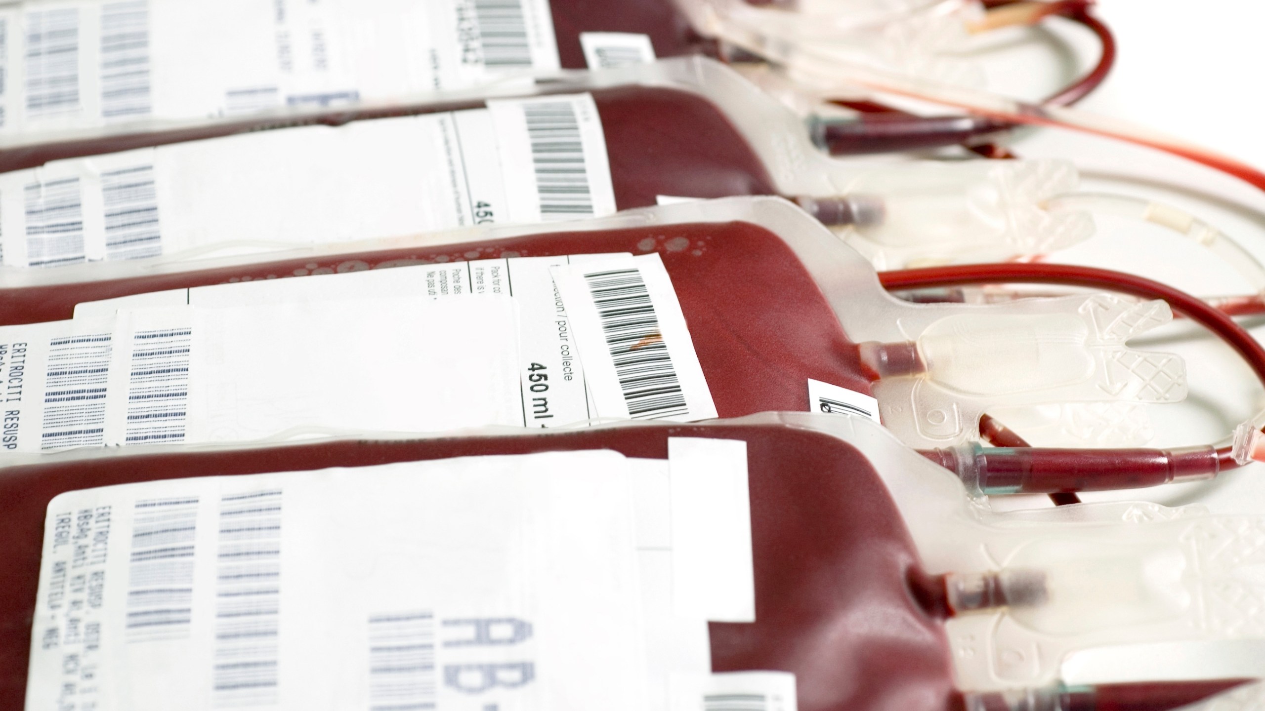 Human blood in storage bags