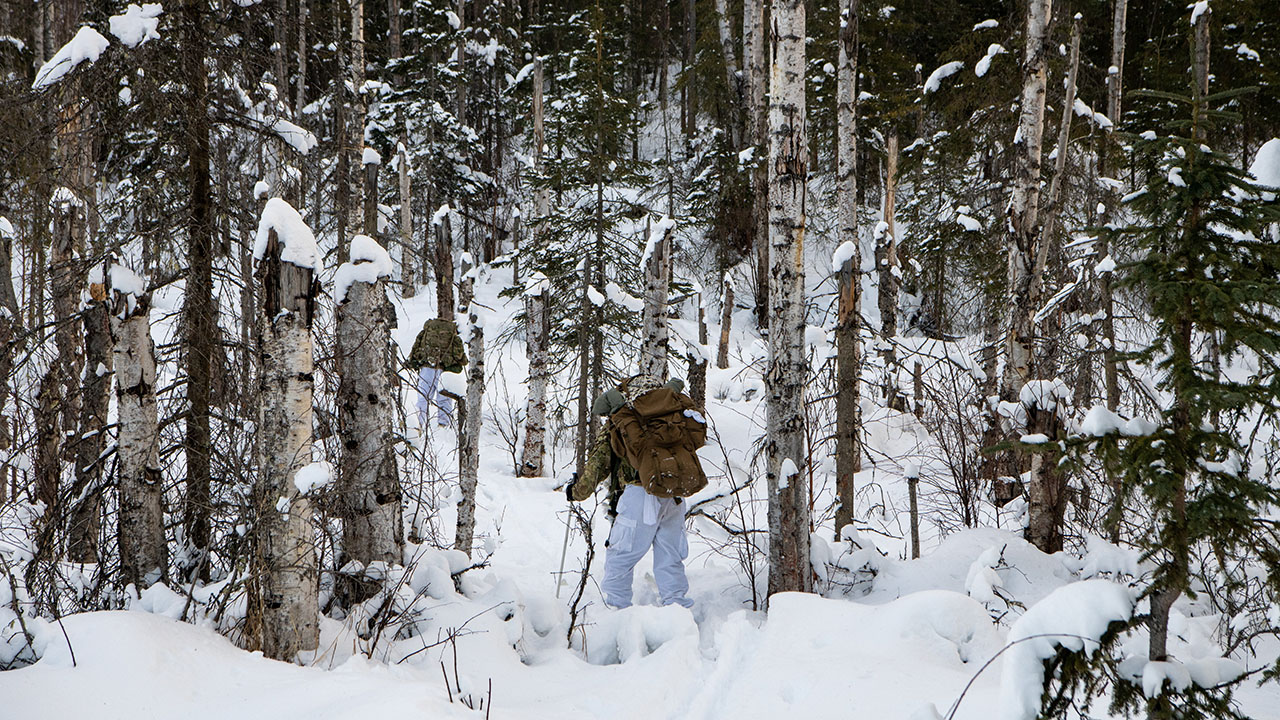 A parachute infantry regiment of the U.S. Army are seen during a training mission at Joint Base Elmendorf-Richardson, Alaska, in Feb. 2022. The base said this week that a soldier died after being injured by a bear during a training exercise near the Anchorage Regional Landfill.