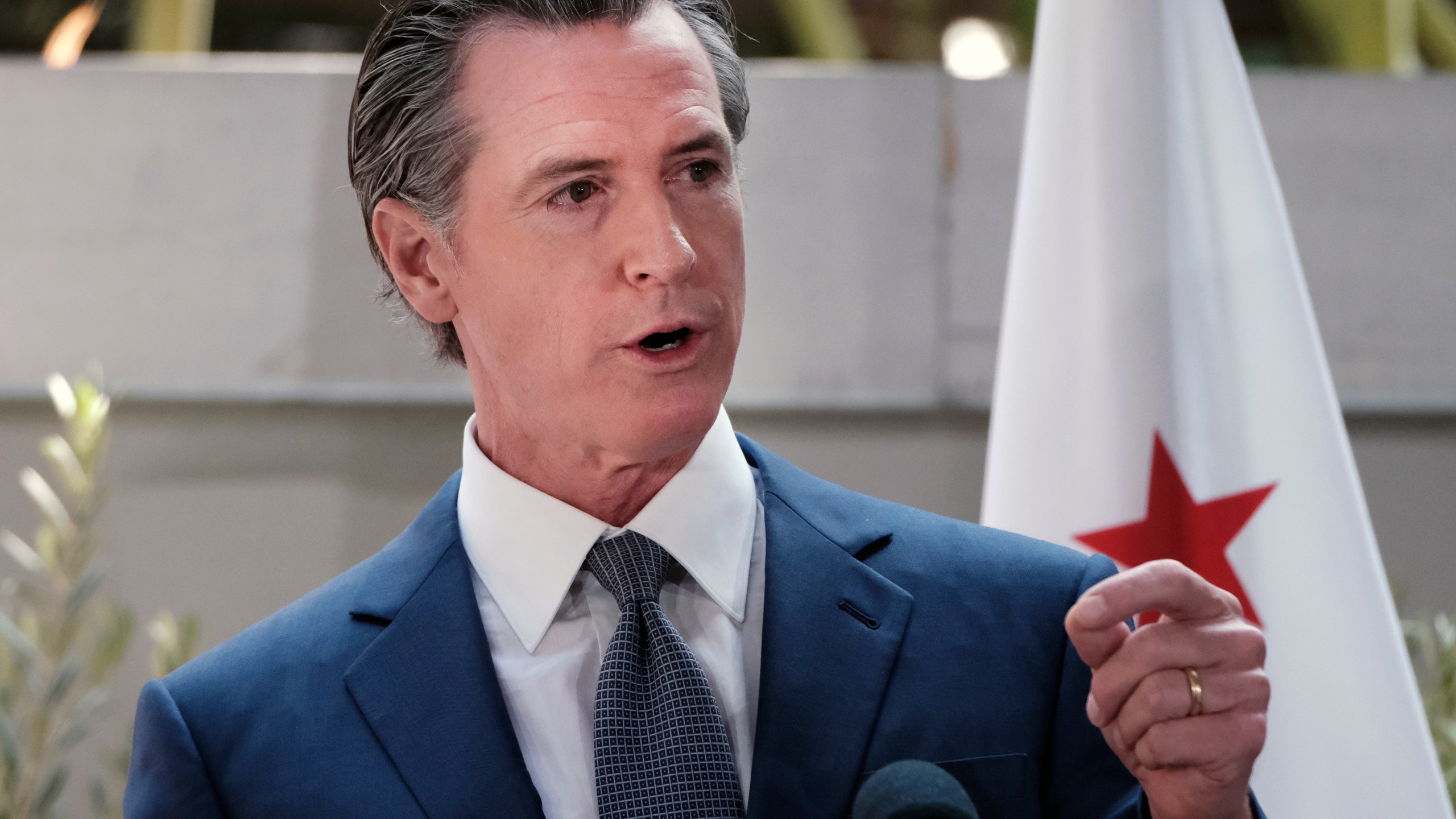 Gavin Newsom