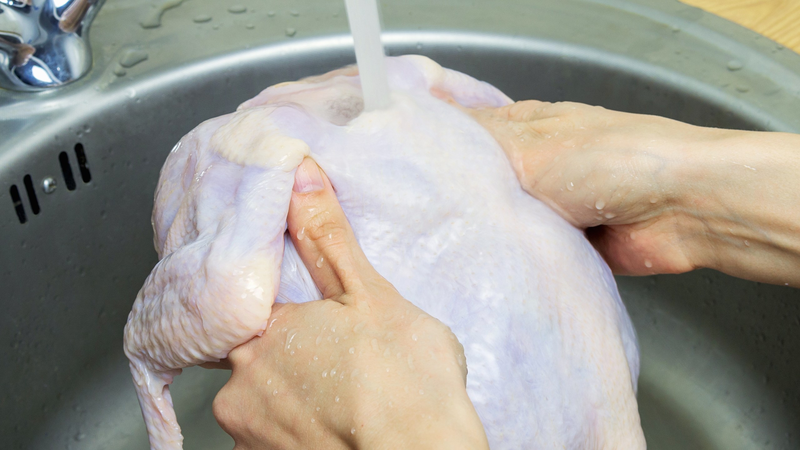 Raw chicken in sink under running water