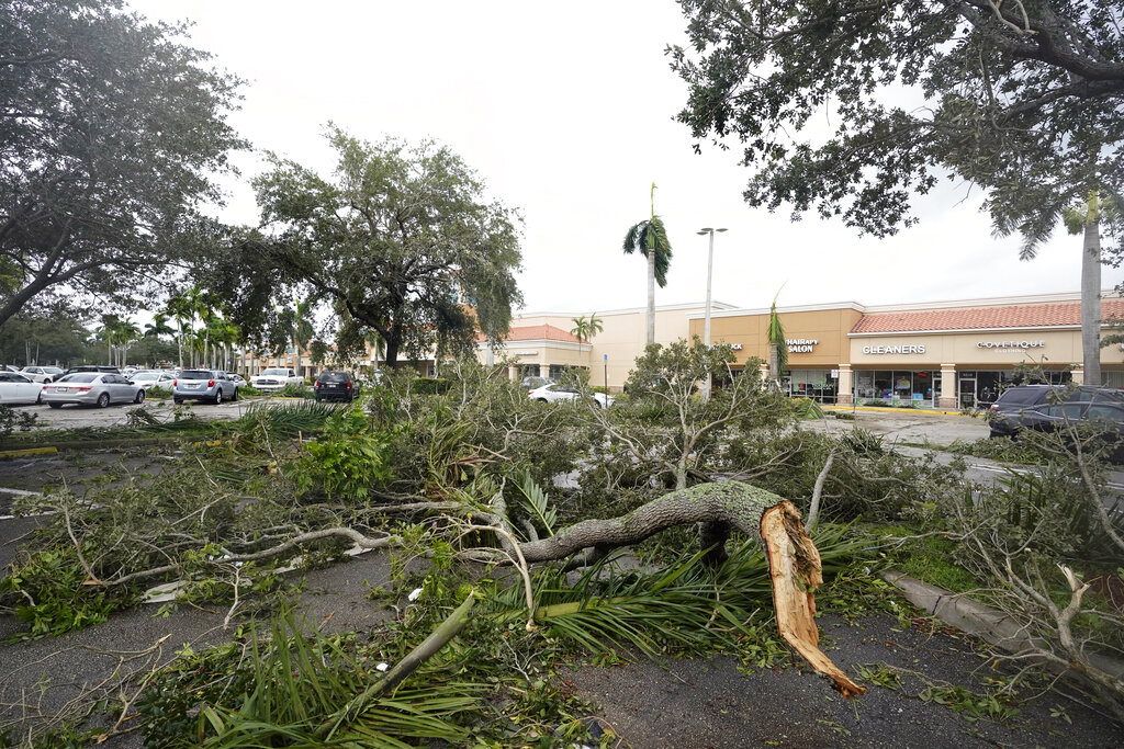 Tree limbs and palm fronds, knocked down from wind produced by the outer bands of Hurricane Ian, litter a parking lot of a shopping center, Wednesday, Sept. 28, 2022, in Cooper City, Fla. (AP Photo/Wilfredo Lee)