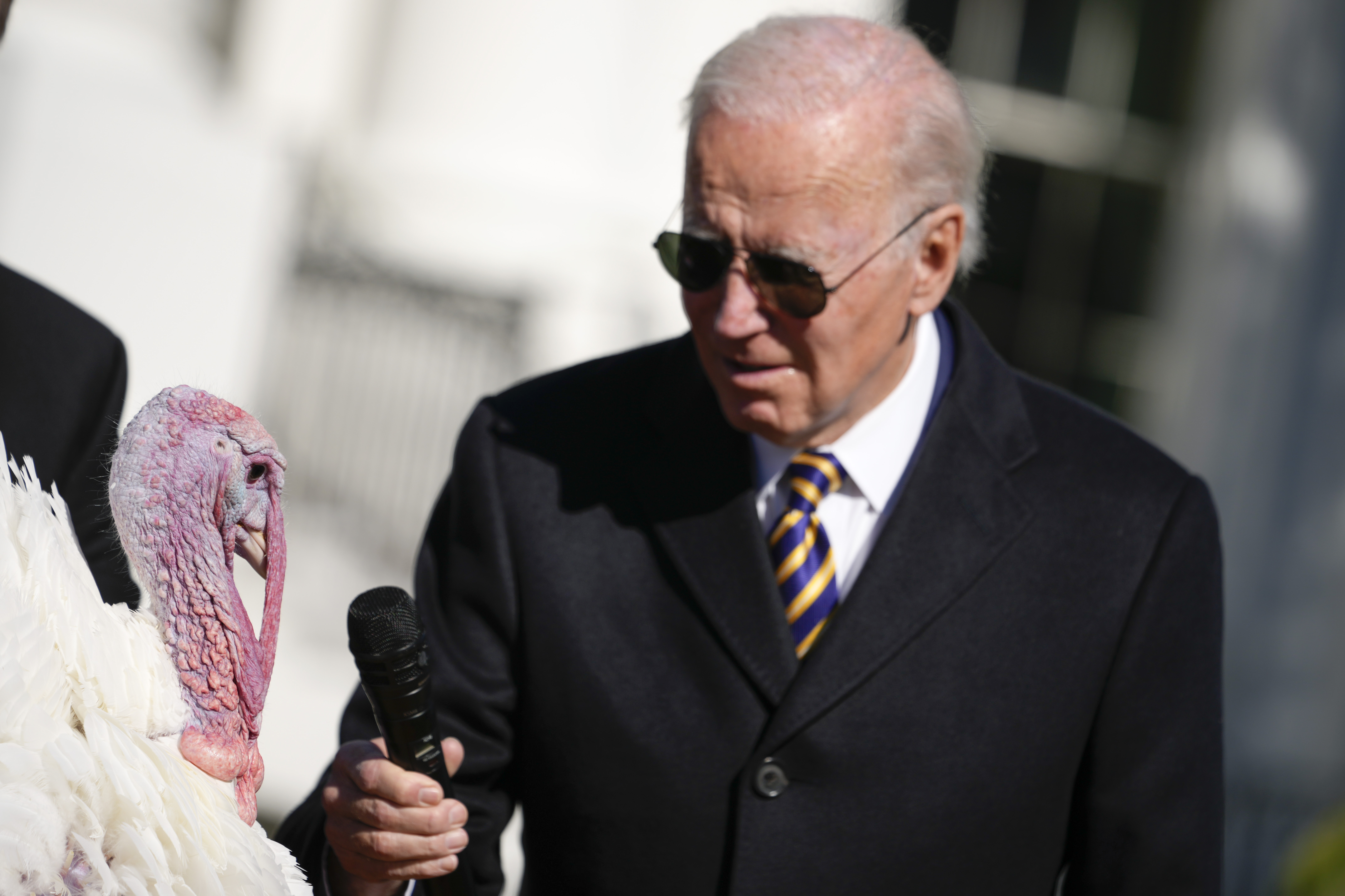 President Joe Biden holds the microphone to Chocolate, the national Thanksgiving turkey, during a pardoning ceremony at the White House in Washington, Monday, Nov. 21, 2022. (AP Photo/Andrew Harnik)