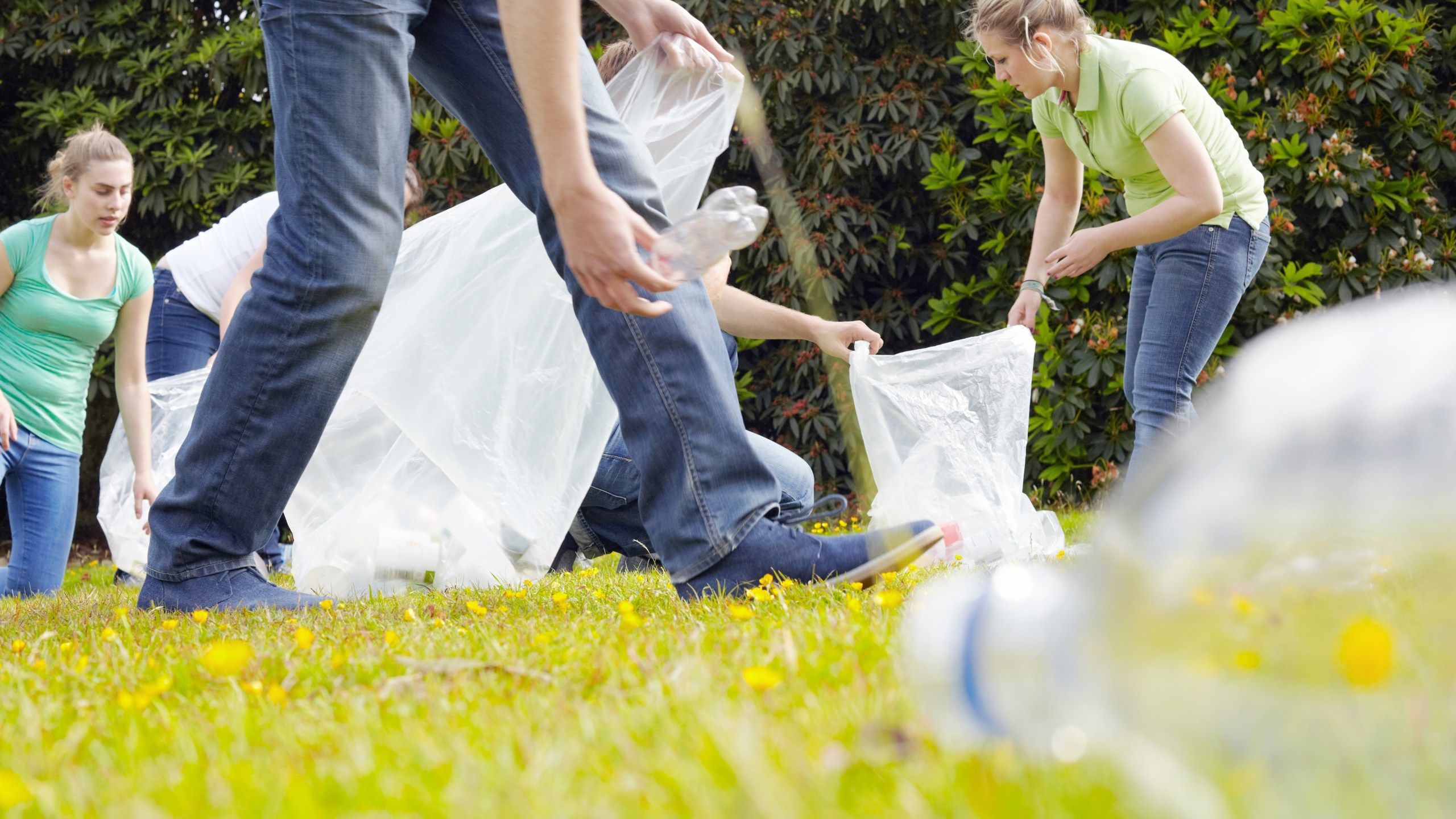 People cleaning up litter on grass - stock photo