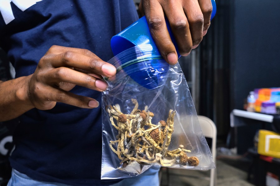 FILE - A vendor bags psilocybin mushrooms at a cannabis marketplace on May 24, 2019, in Los Angeles. Oregon's pioneering experiment with legalized magic mushrooms took a step closer to reality as the first "facilitators" who will accompany clients as they experience the drug received their state licenses, authorities said Tuesday, April 18, 2023. (AP Photo/Richard Vogel, File)