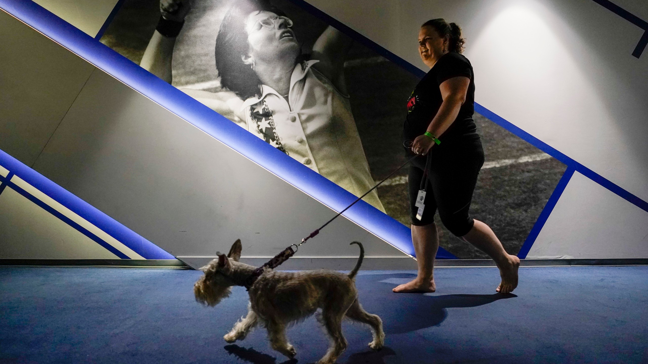 A handler and her dog walk past a photo of Billie Jean King on their way to compete in the agility preliminaries at the Arthur Ashe stadium during the 147th Westminster Kennel Club Dog show, Saturday, May 6, 2023, at the USTA Billie Jean King National Tennis Center in New York. (AP Photo/Mary Altaffer)