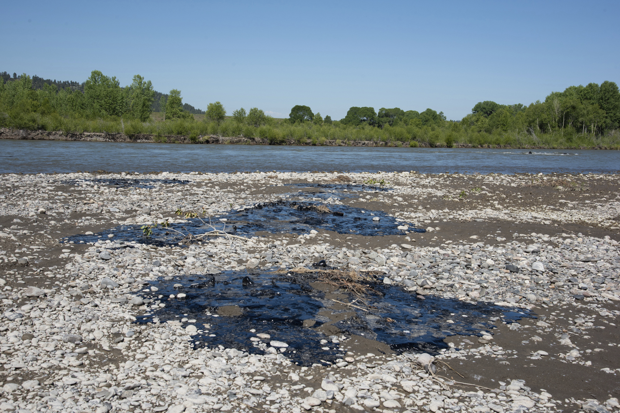 In this photo provided by Alexis Bonogofsky, petroleum products cover areas along the banks of the Yellowstone River near Columbus, Mont., July 1, 2023, following a freight train wreck last week in which tank cars fell into the river when a bridge collapsed. Officials with the Environmental Protection Agency said cleanup efforts began on Sunday, July 2, with workers cooling the asphalt binder with river water, rolling it up and putting the globs into garbage bags. (Alexis Bonogofsky via AP)