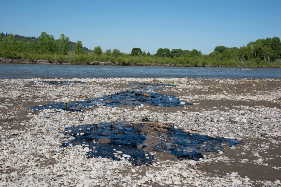 In this photo provided by Alexis Bonogofsky, petroleum products cover areas along the banks of the Yellowstone River near Columbus, Mont., July 1, 2023, following a freight train wreck last week in which tank cars fell into the river when a bridge collapsed. Officials with the Environmental Protection Agency said cleanup efforts began on Sunday, July 2, with workers cooling the asphalt binder with river water, rolling it up and putting the globs into garbage bags. (Alexis Bonogofsky via AP)