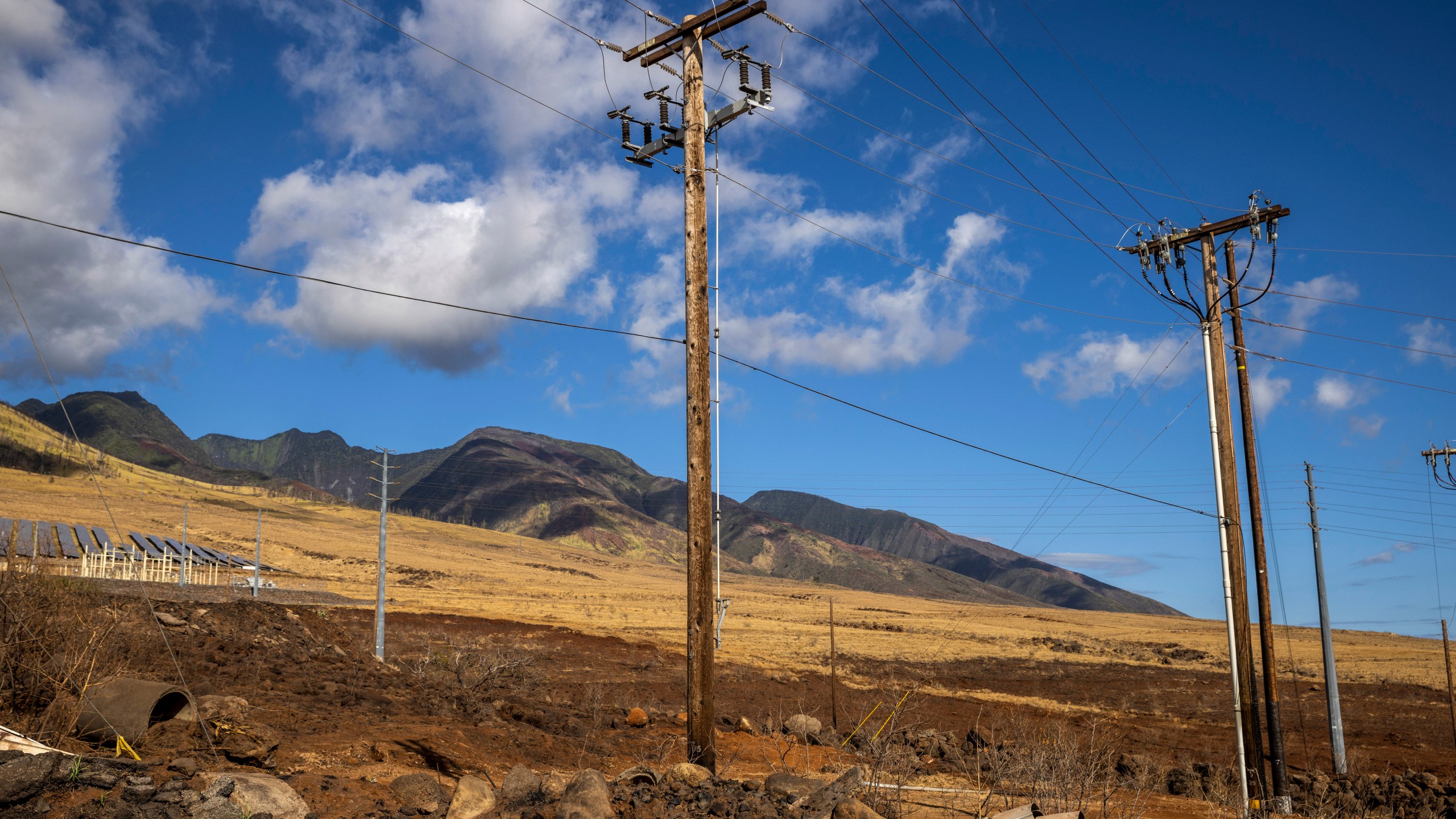 Utility poles stand in Lahaina on the island of Maui, Hawaii, Aug. 16, 2023. When the winds of Hurricane Dora lashed Maui Aug. 8, they struck bare electrical lines the Hawaiian electric utility had left exposed to the elements. (Stephen Lam/San Francisco Chronicle via AP)