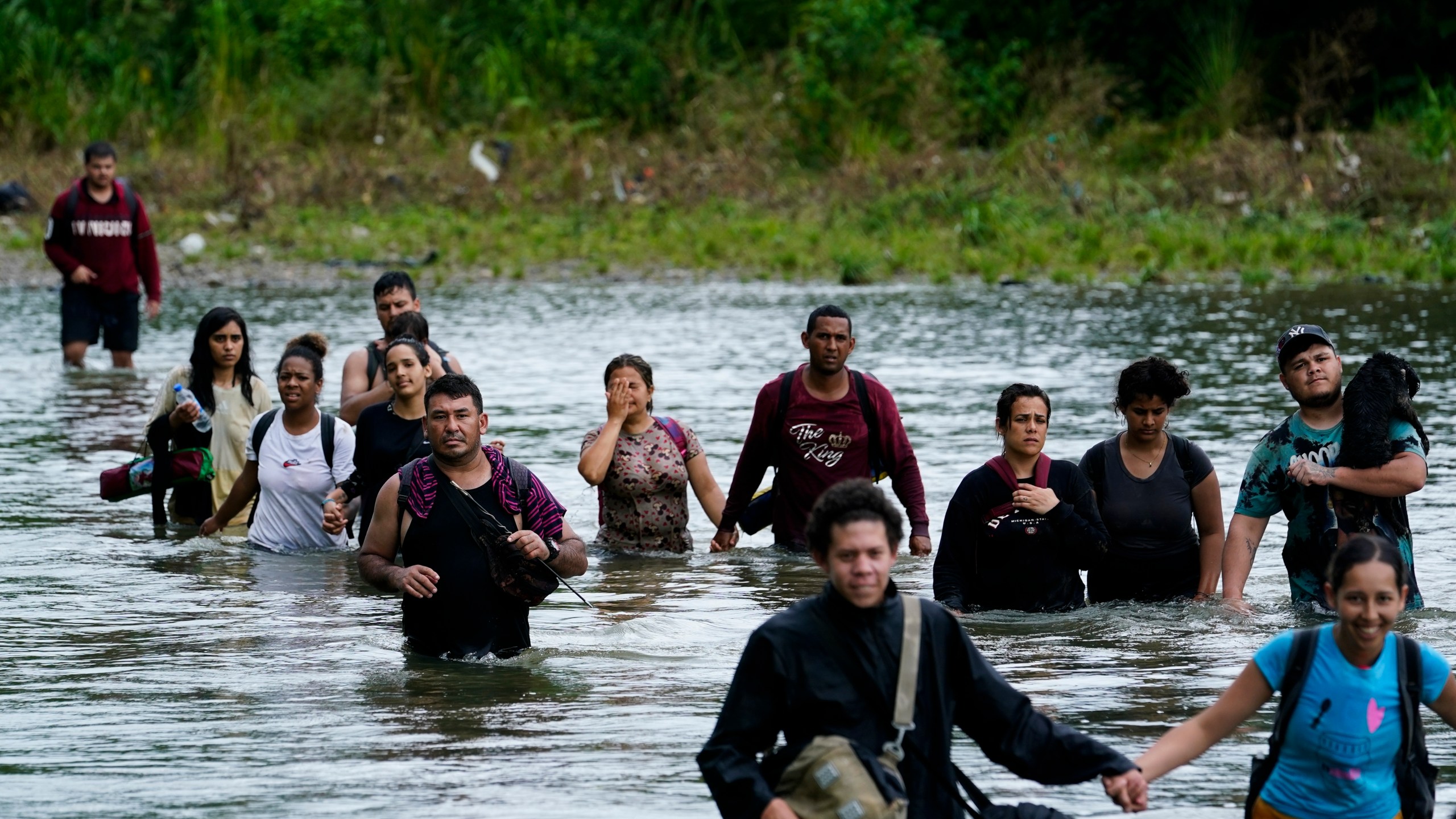 Migrants, most from Venezuela, wade across the Tuquesa river after trekking through the Darien Gap, in Bajo Chiquito, Panama, Wednesday, Oct. 4, 2023. (AP Photo/Arnulfo Franco)