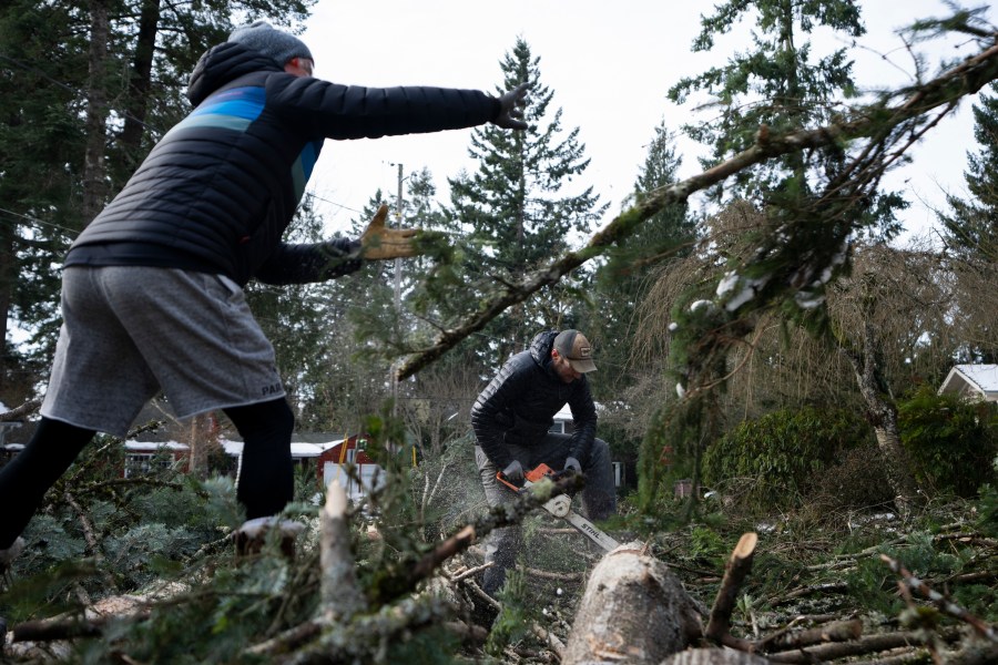 Justin Brooks, center, and Marc Reich, work on clearing trees that fell around Brooks' home on Tuesday, Jan. 16, 2024, in Lake Oswego, Ore. (AP Photo/Jenny Kane)