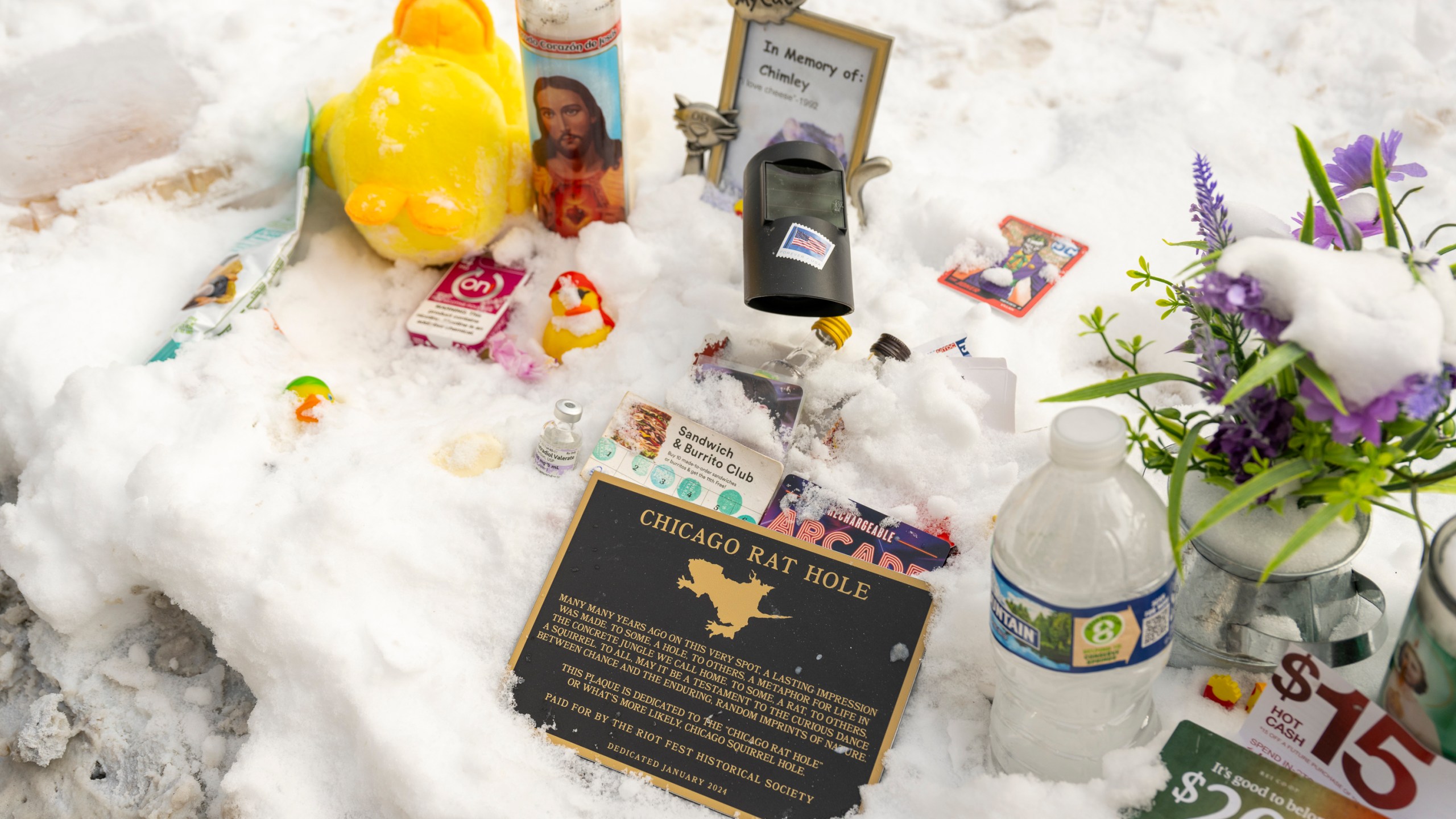 Some of the offerings are left out for Chicago's iconic Rat Hole in the 1900 block of West Roscoe Street in the Roscoe Village neighborhood, Friday, Jan. 19, 2024 in Chicago. (Tyler Pasciak LaRiviere /Chicago Sun-Times via AP)