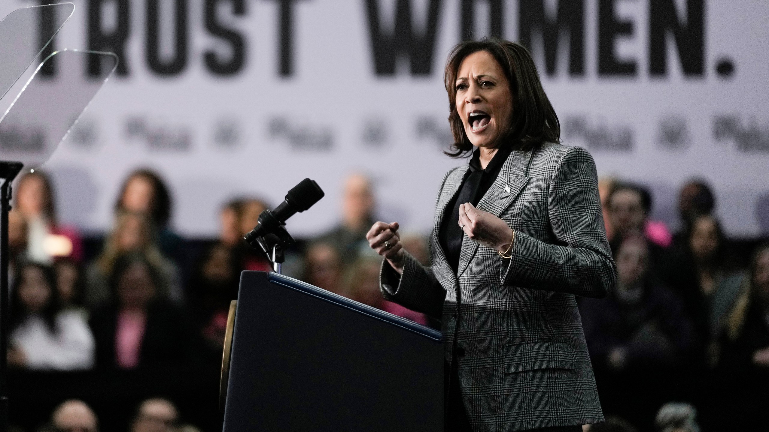 Vice President Kamala Harris speaks at the International Union of Painters and Allied Trades District Council 7, Monday, Jan. 22, 2024, in Big Bend, Wis. Harris is embracing her position as the Democrats' leading champion for abortion rights in this year's election. Harris visits Wisconsin on Monday for the first in a series of nationwide events focused on abortion, which remains politically potent almost two years since the Supreme Court overturned Roe v. Wade. (AP Photo/Morry Gash)