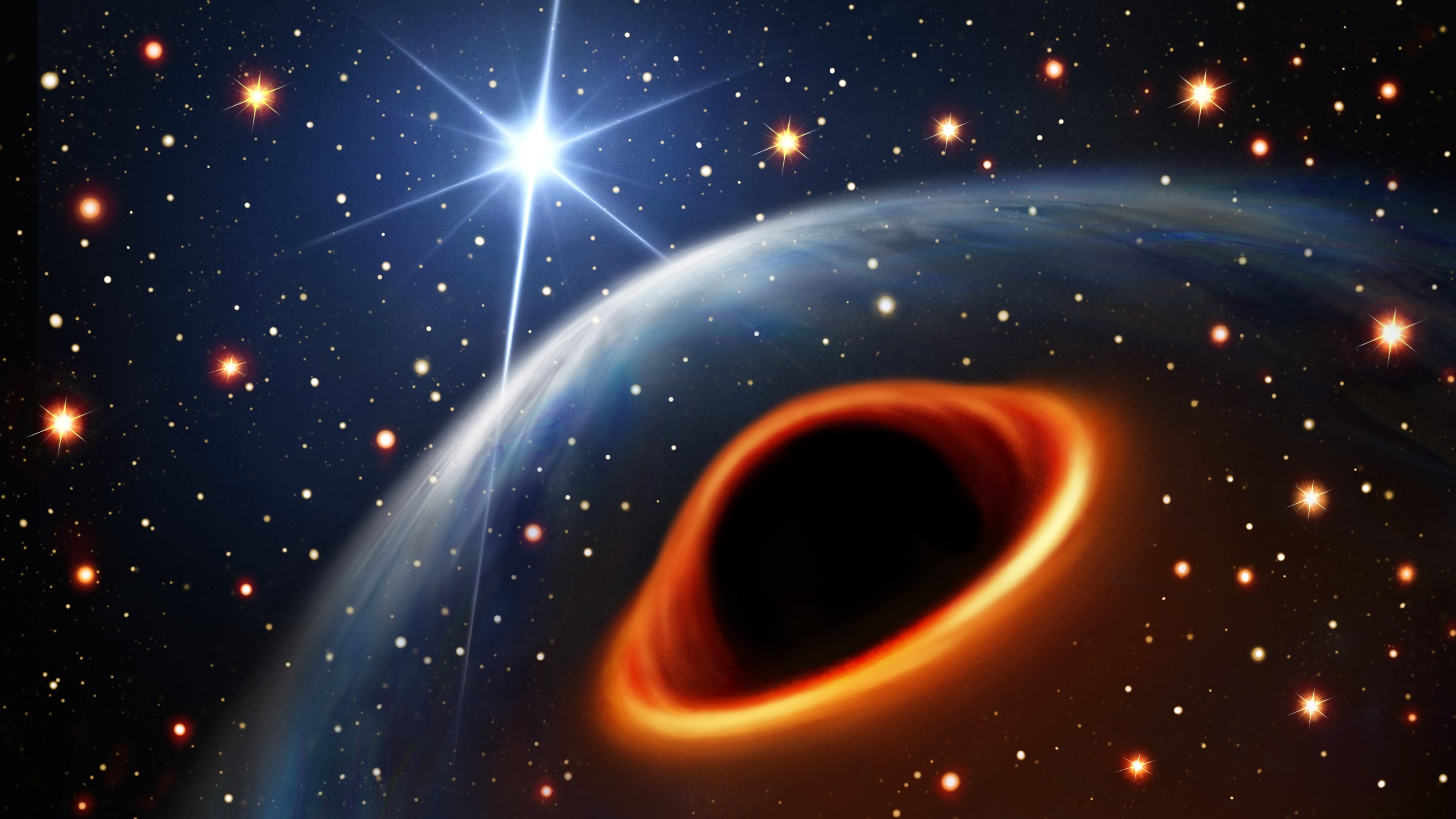 An artist’s impression of the system assuming that the massive companion star is a black hole. The brightest background star is its orbital companion, the radio pulsar PSR J0514-4002E. The two stars are separated by 8 million km and circle each other every 7 days. (Credit: Daniëlle Futselaar)