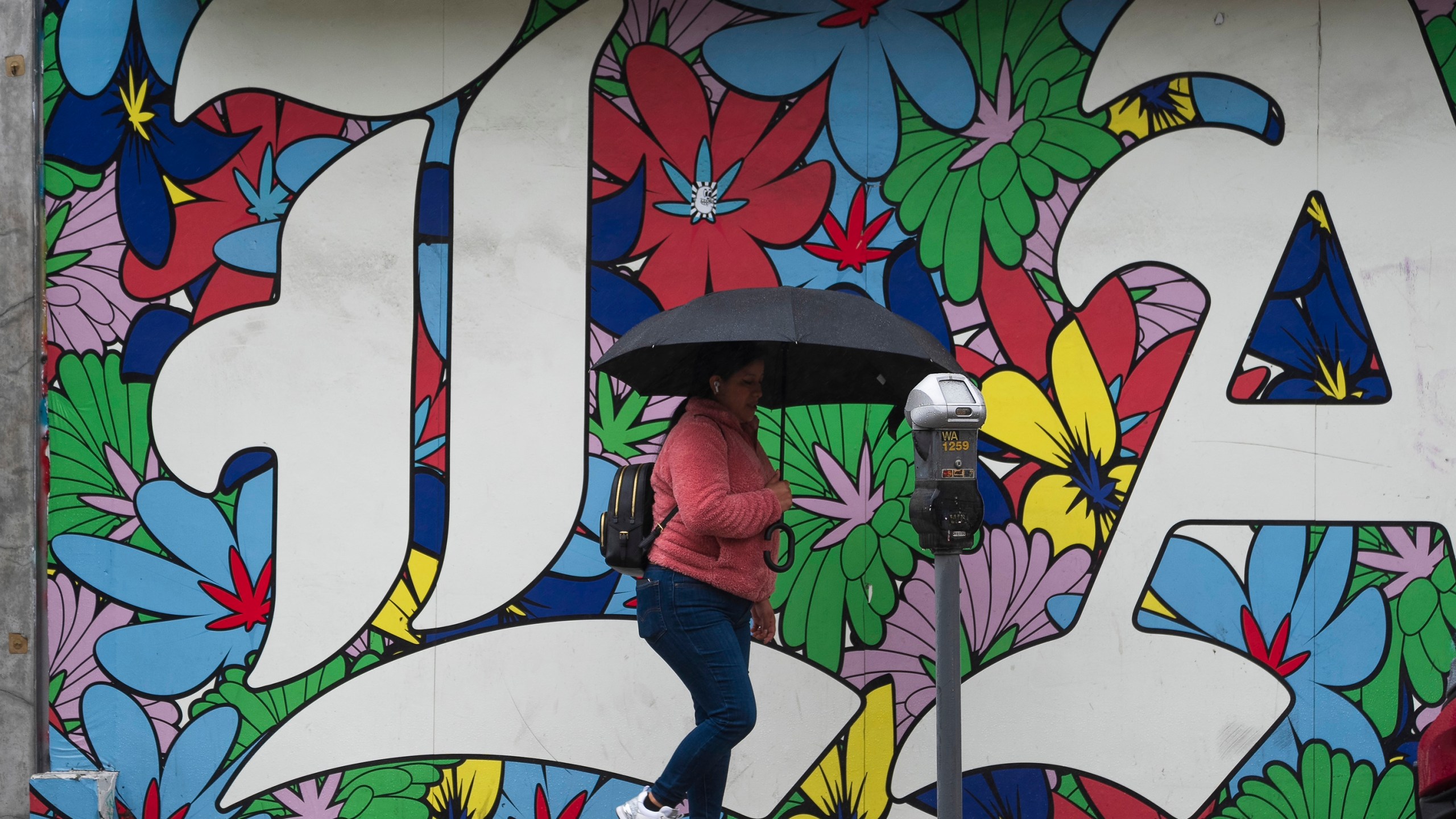 A woman walk under the rain in Los Angeles, Monday, Feb. 19, 2024. (AP Photo/Damian Dovarganes)