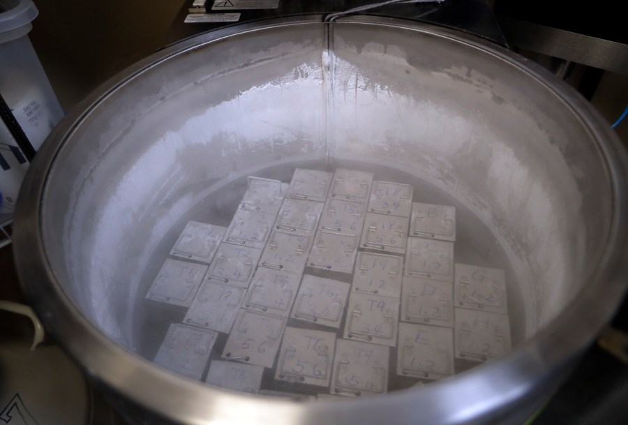 FILE - In this Tuesday, Oct. 2, 2018 photo, containers holding frozen embryos and sperm are stored in liquid nitrogen at a fertility clinic in Fort Myers, Fla. The Alabama Supreme Court ruled, Friday, Feb. 16, 2024, that frozen embryos can be considered children under state law, a ruling critics said could have sweeping implications for fertility treatments. The decision was issued in a pair of wrongful death cases brought by three couples who had frozen embryos destroyed in an accident at a fertility clinic. (AP Photo/Lynne Sladky, File)