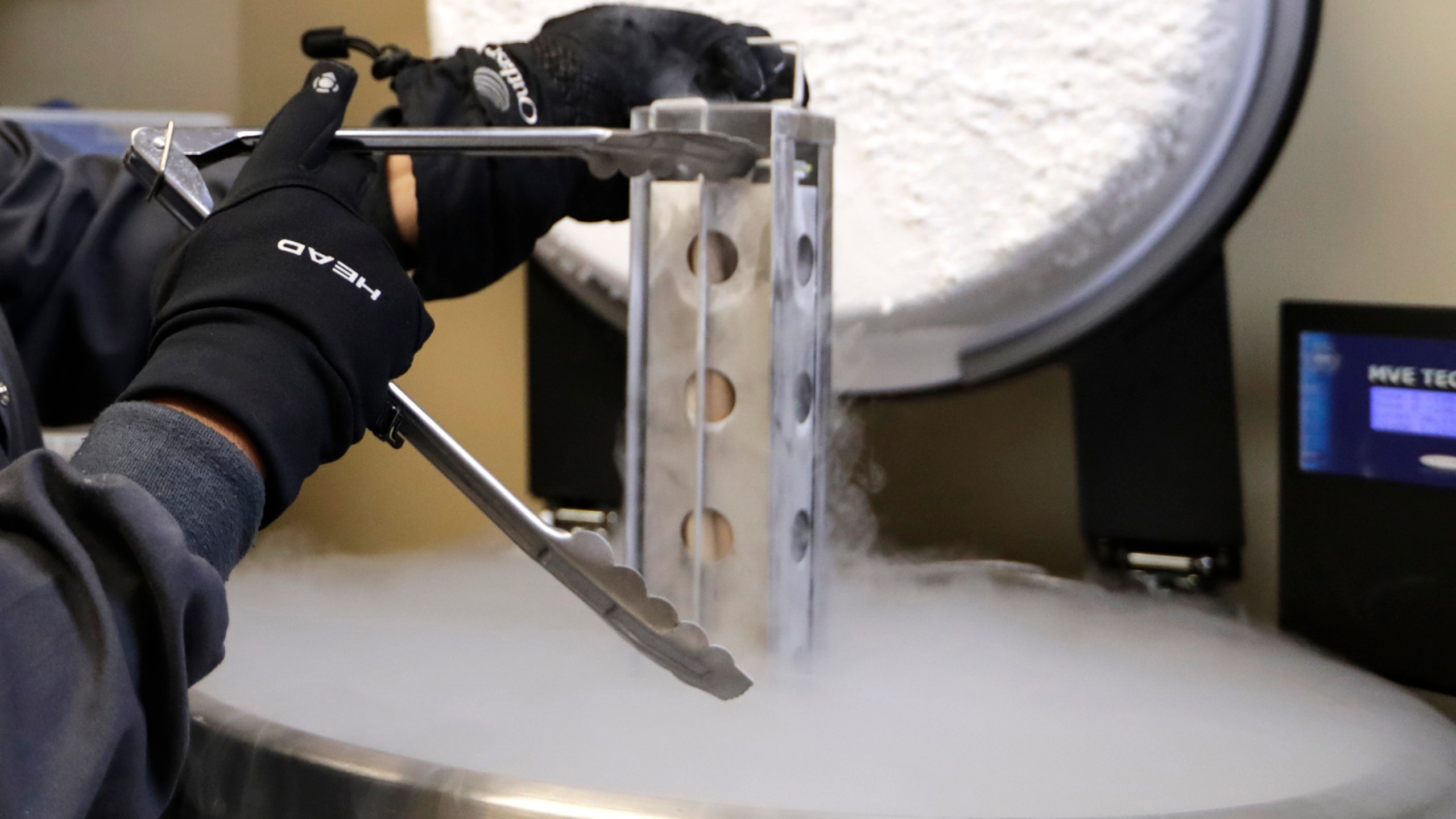 FILE - A container with frozen embryos and sperm stored in liquid nitrogen is removed at a fertility clinic in Fort Myers, Fla., Tuesday, Oct. 2, 2018. The Alabama Supreme Court ruled, Friday, Feb. 16, 2024, that frozen embryos can be considered children under state law, a ruling critics said could have sweeping implications for fertility treatments. The decision was issued in a pair of wrongful death cases brought by three couples who had frozen embryos destroyed in an accident at a fertility clinic. (AP Photo/Lynne Sladky, File)