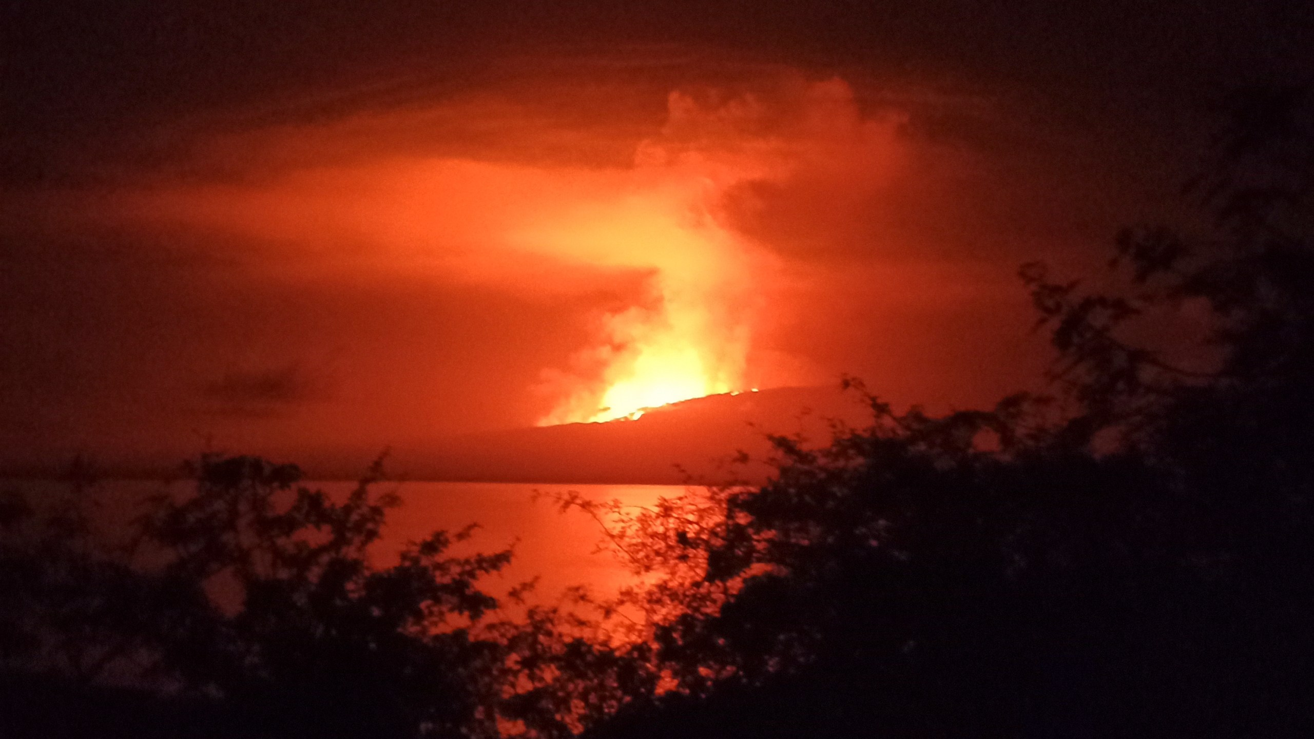 In this photo released by Galapagos National, La Cumbre volcano erupts at Fernandina Island, in Galápagos Islands, Ecuador. Sunday, March 3, 2024. (Galapagos National Park via AP)