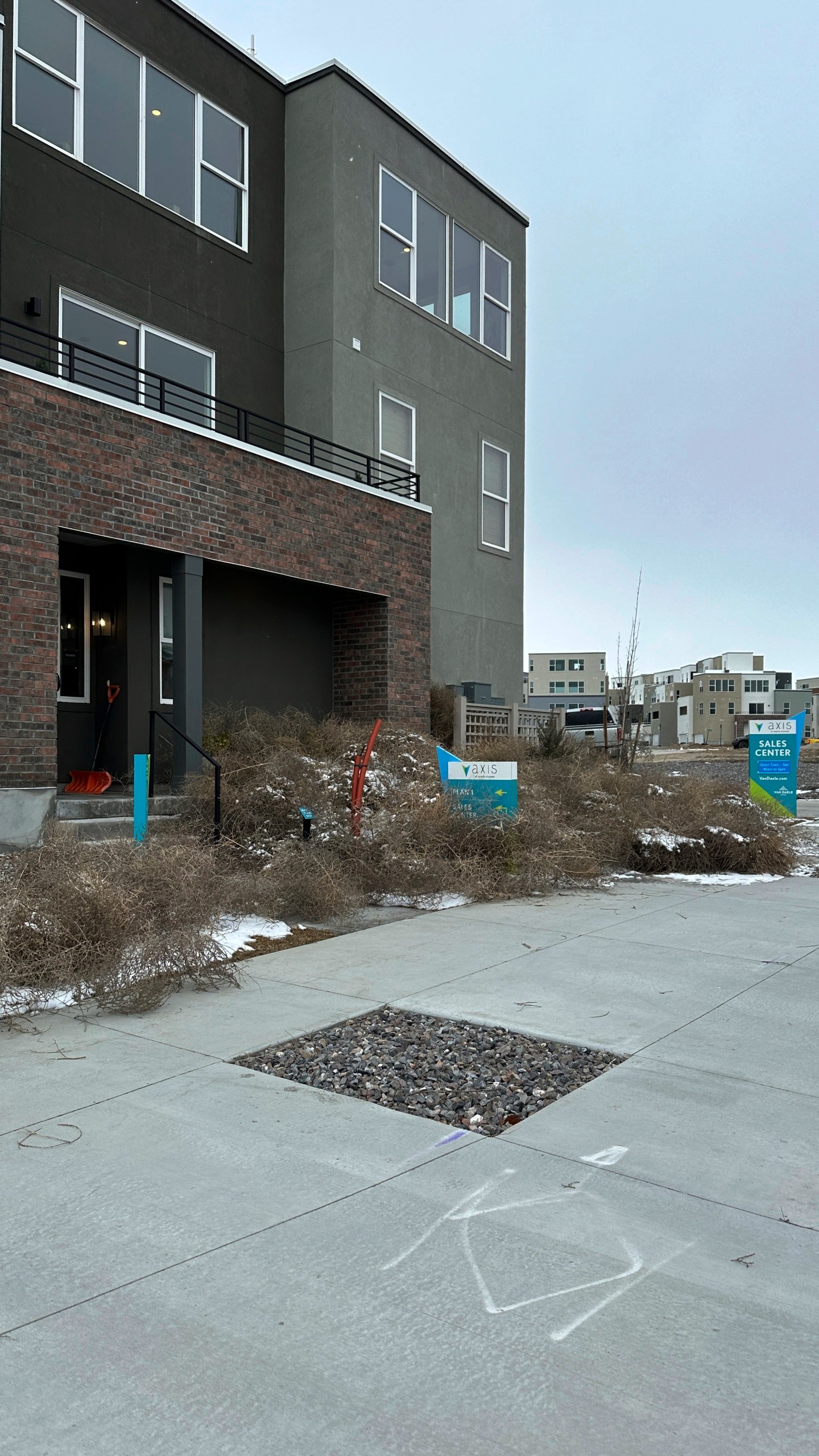 Tumbleweeds appear in front of a home in South Jordan, Utah, on Tuesday, March 5, 2024. The suburb of Salt Lake City was inundated with tumbleweeds after a weekend storm brought stiff winds to the area. The gnarled icon of the Old West rolled in over the weekend and kept rolling until blanketing some homes and streets in suburban Salt Lake City. (AP Photo/Brady McCombs)