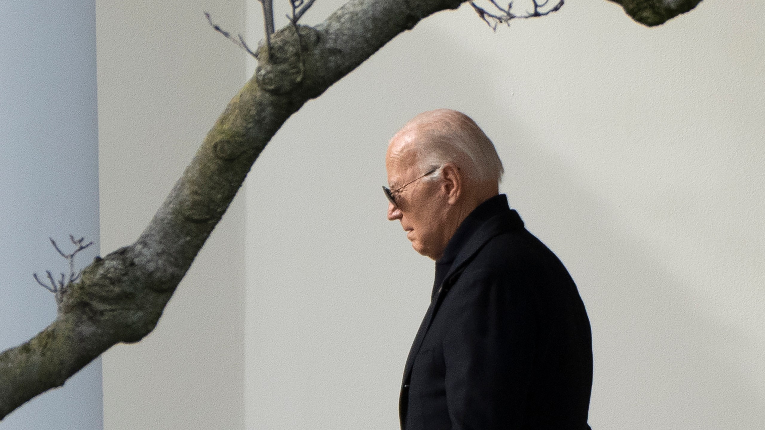 FILE - President Joe Biden walks out of the White House to board Marine One on the South Lawn in Washington, Jan. 12, 2024. In his victory speech Tuesday, March 5, 2024 former president Donald Trump echoed false statements that the Biden administration has secretly flown hundreds of thousands of foreigners to the United States. (AP Photo/Mark Schiefelbein, File)