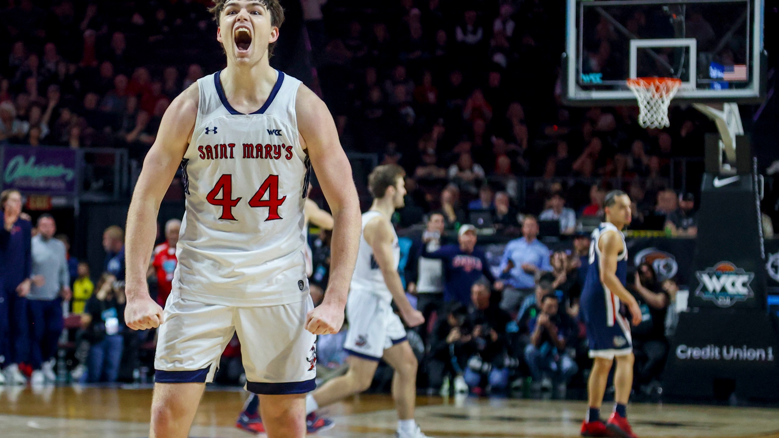 Saint Mary's guard Alex Ducas (44) celebrates during the second half of the team's NCAA college basketball game against Gonzaga for the championship of the West Coast Conference men's tournament Tuesday, March 12, 2024, in Las Vegas. (AP Photo/Ian Maule)