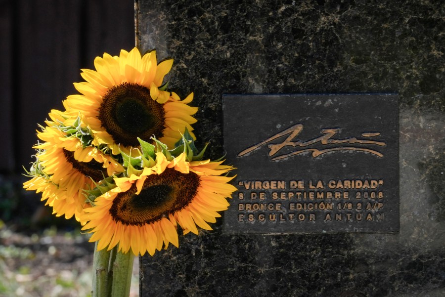 Sunflowers stand at the foot of a monument dedicated to the Virgin of Charity at her shrine known as La Ermita in Miami, Florida, Wednesday, Feb. 14, 2024. The Vatican-recognized Virgin, venerated by Catholics and followers of Afro-Cuban Santeria traditions, is at the heart of Cuban identity, uniting compatriots from the Communist-run Caribbean island to those who were exiled or emigrated to the U.S. (AP Photo/Marta Lavandier)