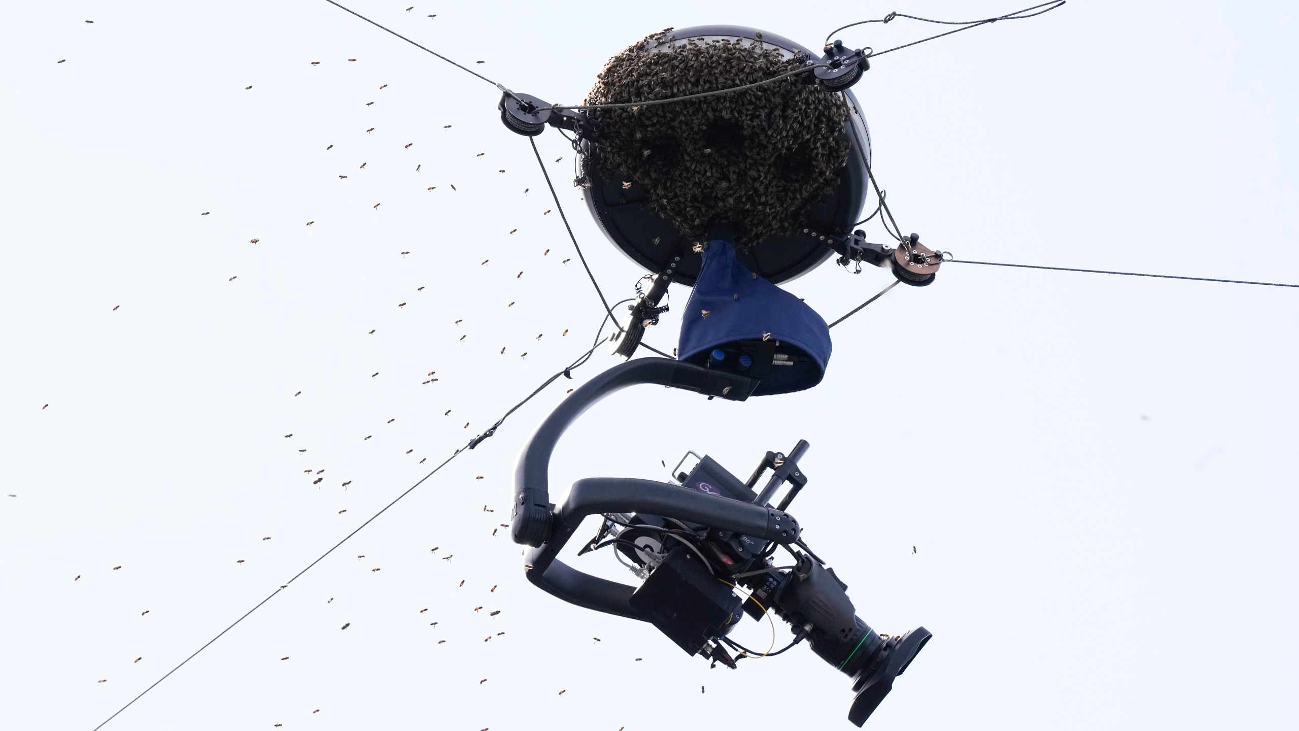Bees swarm around a camera during a quarterfinal match at the BNP Paribas Open tennis tournament, Thursday, March 14, 2024, in Indian Wells, Calif. (AP Photo/Mark J. Terrill)