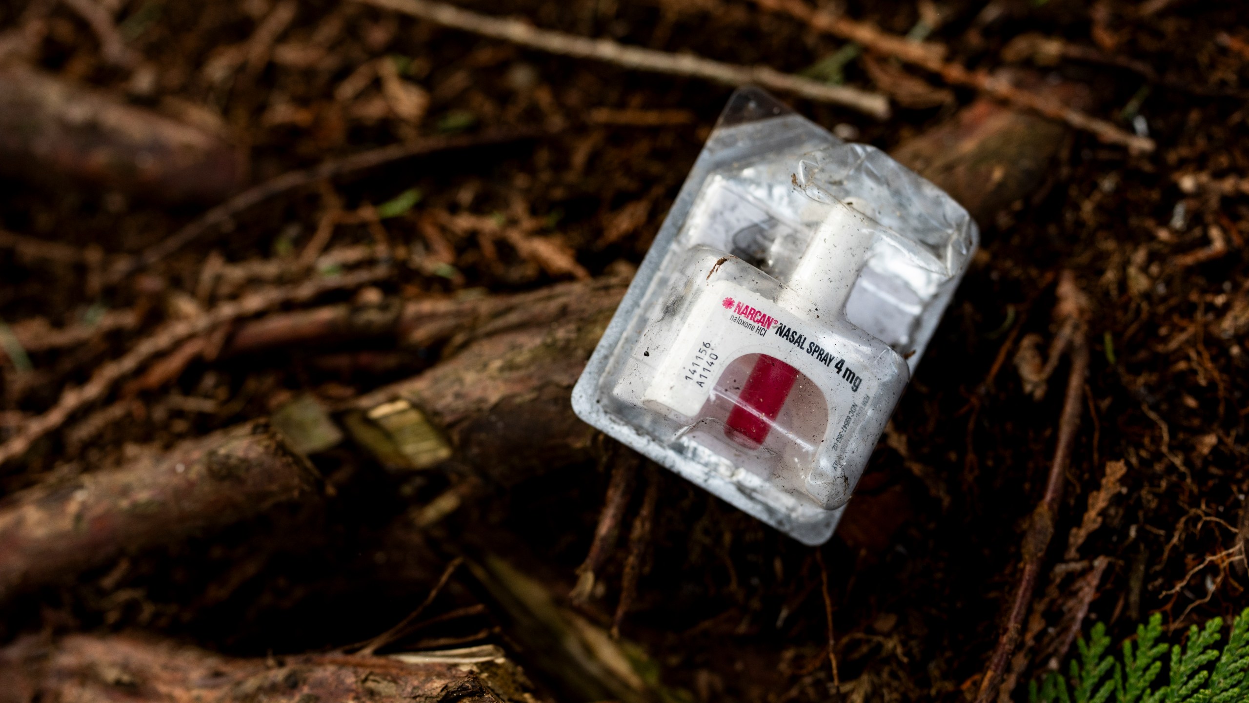 FILE - A container of Narcan, or naloxone, sits on tree roots at a longstanding homeless encampment, Thursday, Feb. 8, 2024, in Bellingham, Wash. On Tuesday, March 20, 2024, Washington Gov. Jay Inslee has signed a multimillion-dollar measure to send state money to tribes and Indigenous people in the state who die from opioid overdoses at disproportionately high rates in Washington. (AP Photo/Lindsey Wasson, File)