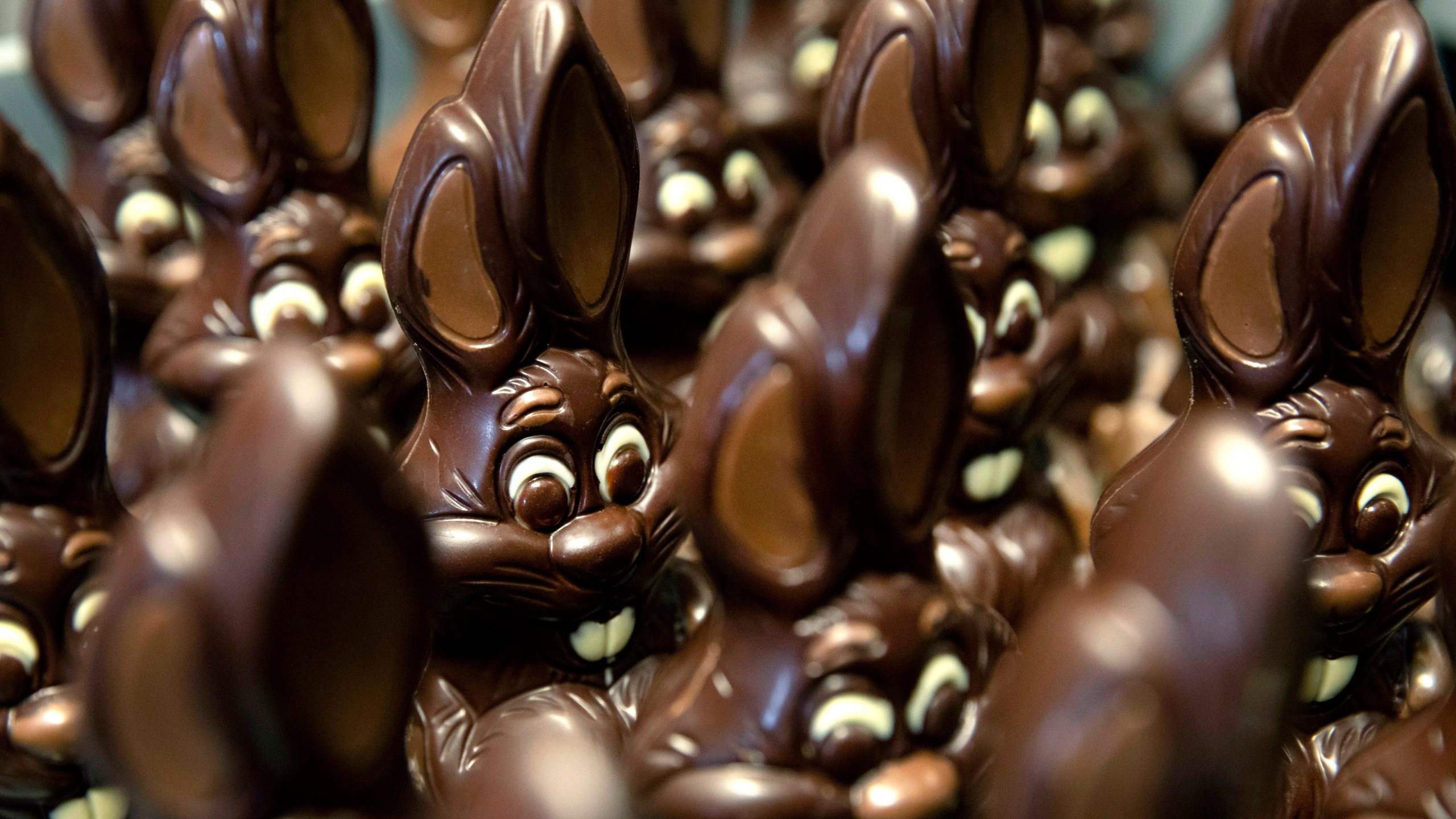 FILE - Chocolate rabbits wait to be decorated at the Cocoatree chocolate shop, April 8, 2020, in Lonzee, Belgium. Sweet Easter baskets will likely come at a bitter cost this year for consumers as the price of cocoa climbs to record highs. (AP Photo/Virginia Mayo, File)