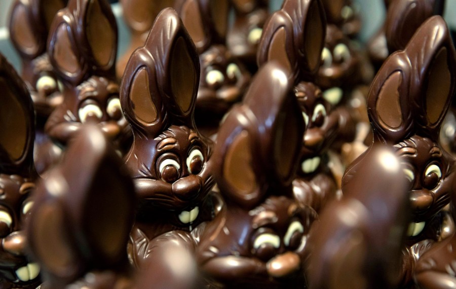 FILE - Chocolate rabbits wait to be decorated at the Cocoatree chocolate shop, April 8, 2020, in Lonzee, Belgium. Sweet Easter baskets will likely come at a bitter cost this year for consumers as the price of cocoa climbs to record highs. (AP Photo/Virginia Mayo, File)