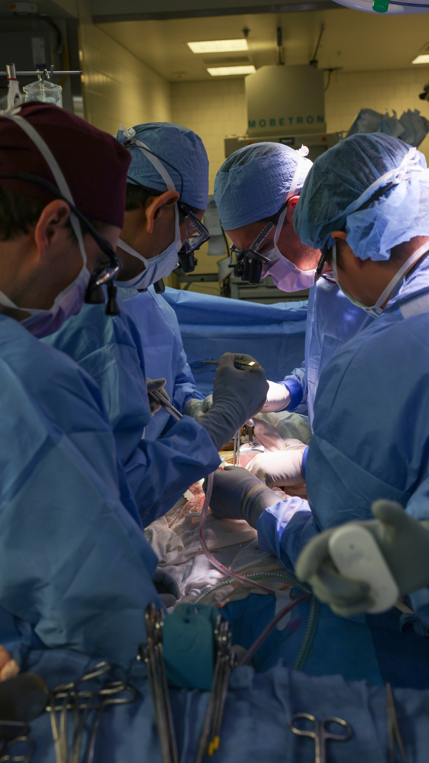 Surgeons perform the world’s first genetically modified pig kidney transplant into a living human at Massachusetts General Hospital, Saturday, March 16, 2024, in Boston, Mass.(Massachusetts General Hospital via AP)