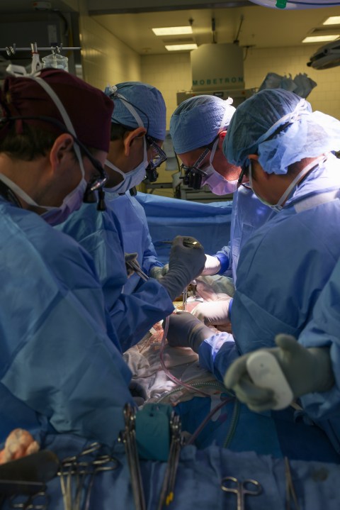 Surgeons perform the world’s first genetically modified pig kidney transplant into a living human at Massachusetts General Hospital, Saturday, March 16, 2024, in Boston, Mass.(Massachusetts General Hospital via AP)