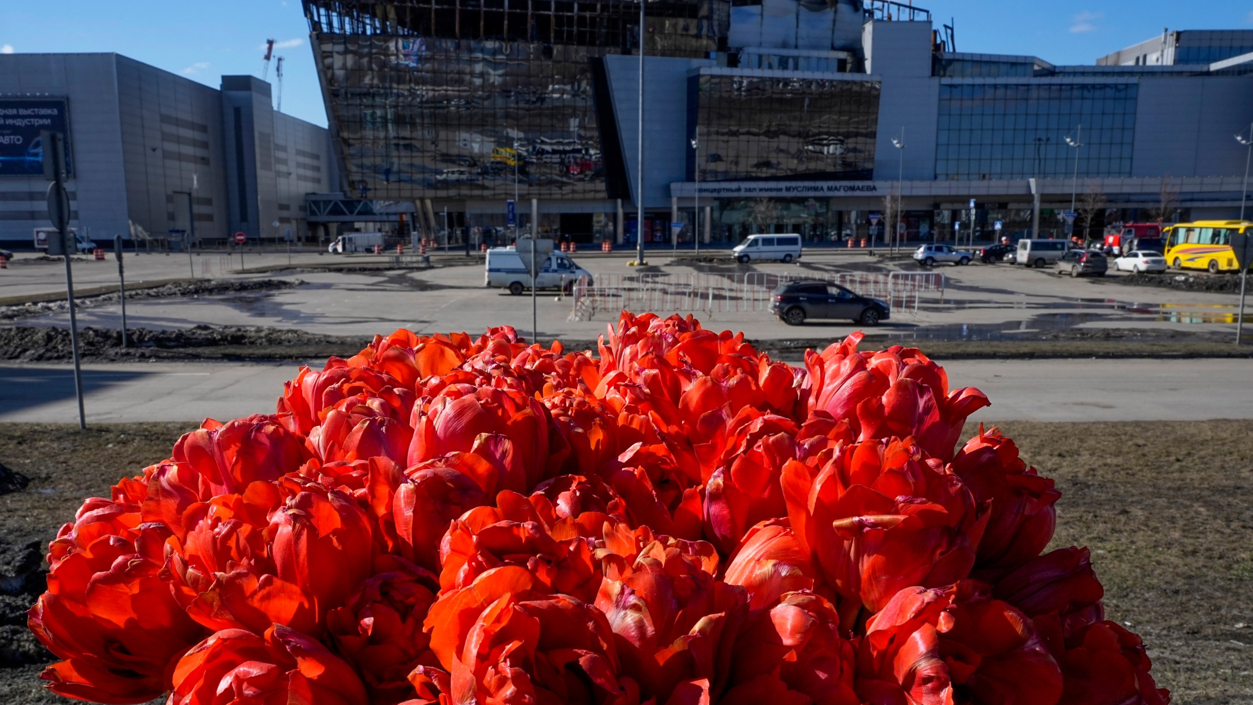 A bouquet of flowers inserted into the road fence in front of the burnt Crocus City Hall, center, on the western outskirts of Moscow, Russia, Wednesday, March 27, 2024. Russian officials persisted Tuesday in saying Ukraine and the West had a role in last week's deadly Moscow concert hall attack despite vehement denials of involvement by Kyiv and a claim of responsibility by an affiliate of the Islamic State group. (AP Photo/Alexander Zemlianichenko)
