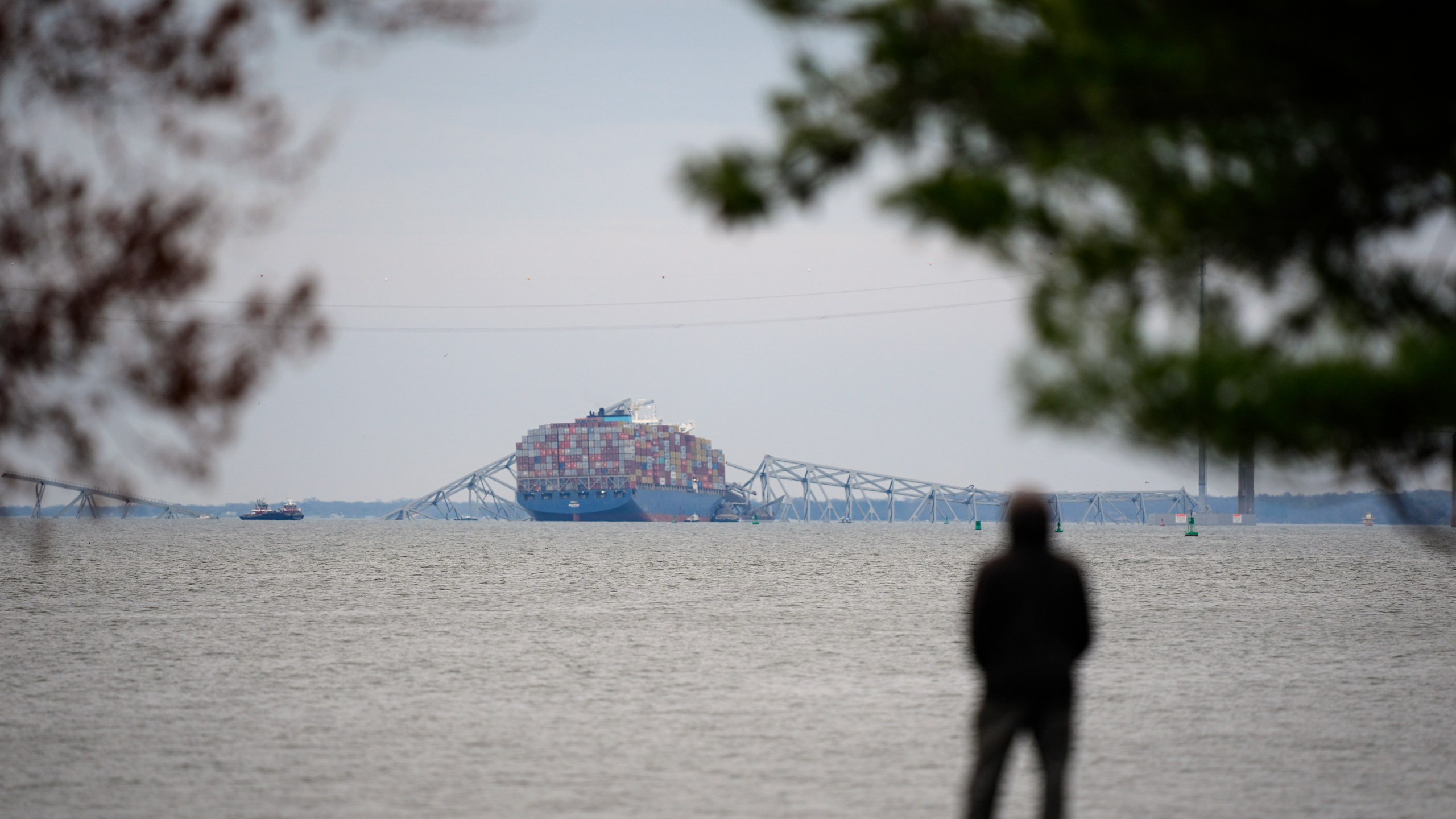 A person views from Fort McHenry a container ship as it rests against the wreckage of the Francis Scott Key Bridge, Thursday, March 28, 2024, in Baltimore. (AP Photo/Matt Rourke)