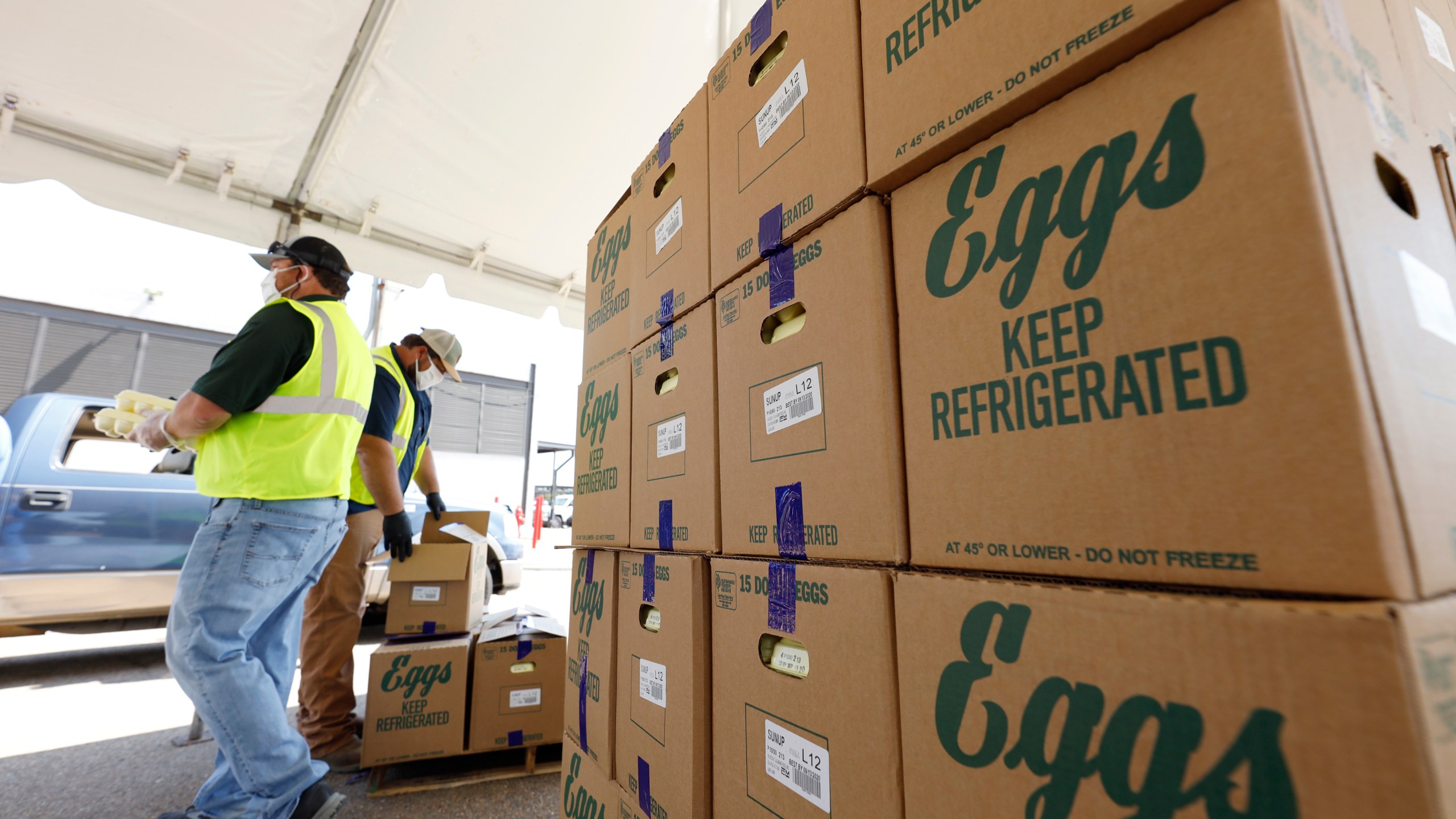 FILE - Cases of eggs from Cal-Maine Foods, Inc., await to be handed out by the Mississippi Department of Agriculture and Commerce employees at the Mississippi State Fairgrounds in Jackson, Miss., on Aug. 7, 2020. The largest producer of fresh eggs in the United States said Tuesday, April 2, 2024 that it has stopped production at a Texas plant after bird flu was found in chickens there. Cal-Maine Foods, Inc. said in a statement that approximately 1.6 million laying hens and 337,000 pullets, about 3.6% of its total flock, were destroyed after the infection, avian influenza, was found at the facility in Parmer County, Texas. (AP Photo/Rogelio V. Solis, file)