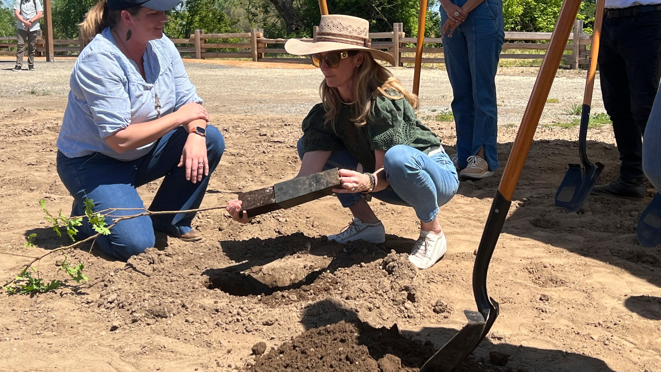 First partner Jennifer Siebel Newsom plants a tree during ground breaking ceremony where the state will open the first new state park in a decade on Monday April 22, 2024 at the Dos Rios property, in Modesto, Calif. The announcement comes as the state sets targets for cutting planet-warming emissions on natural lands. (AP Photo/Sophie Austin)