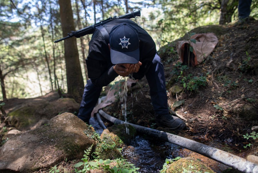 A municipal police officer drinks water from a stream lined with an unlicensed hose as he accompanies locals who are dismantling illegal water taps during a drought in the mountains of Villa Madero, Mexico, Wednesday, April 17, 2024. On Wednesday, dozens of residents, farmworkers and small-scale farmers from Villa Madero hiked up into the hills to tear out irrigation equipment using mountain springs to water avocado orchards carved out of the pine-covered hills. (AP Photo/Armando Solis)