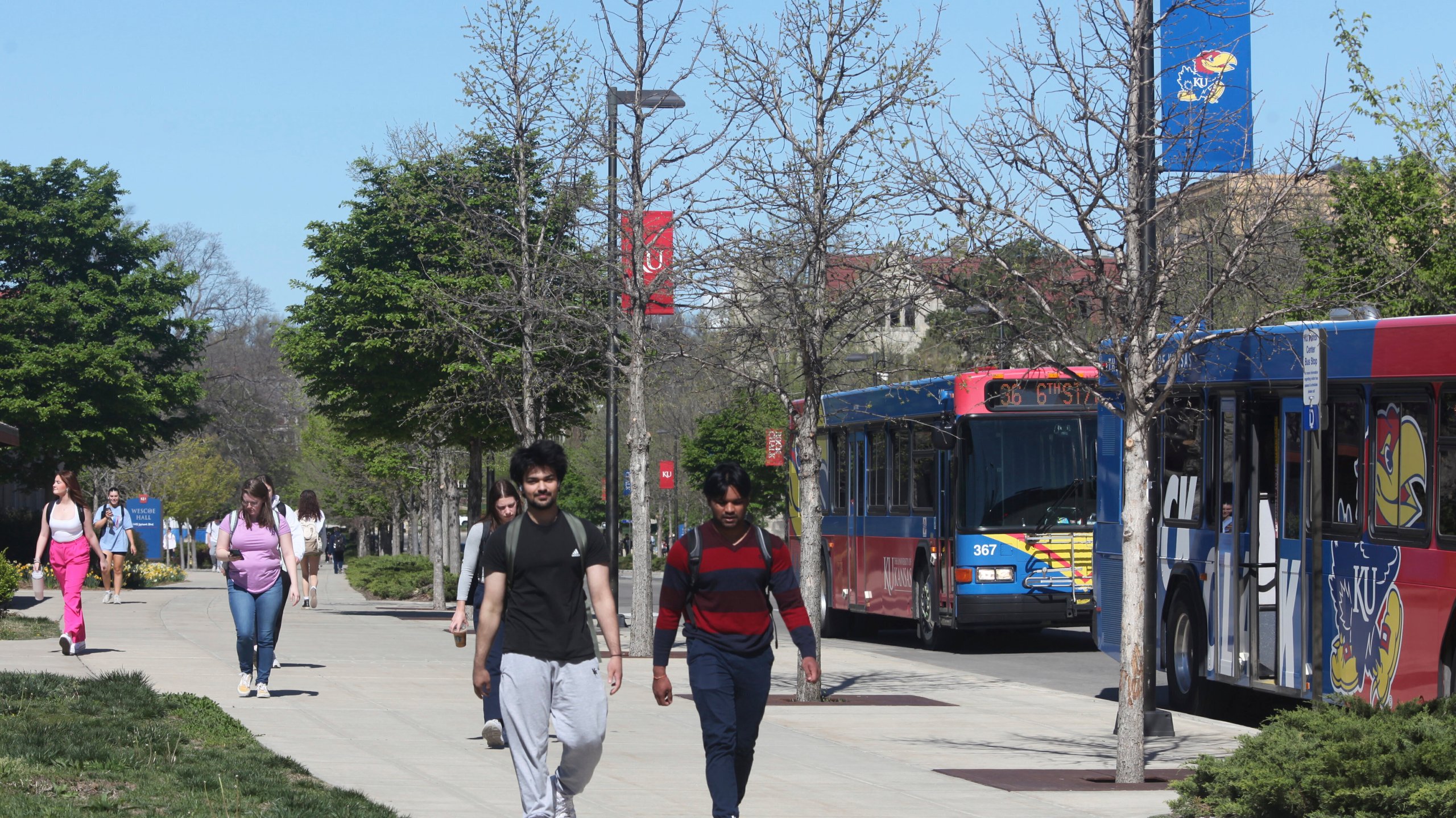 FILE - Students walk down Jayhawk Boulevard, the main street through the main University of Kansas campus, Friday, April 12, 2024, in Lawrence, Kan. A conservative quest to limit diversity, equity and inclusion initiatives is gaining momentum in state capitals and college governing boards, with officials in about one-third of the states now taking some sort of action against it. (AP Photo/John Hanna, File)