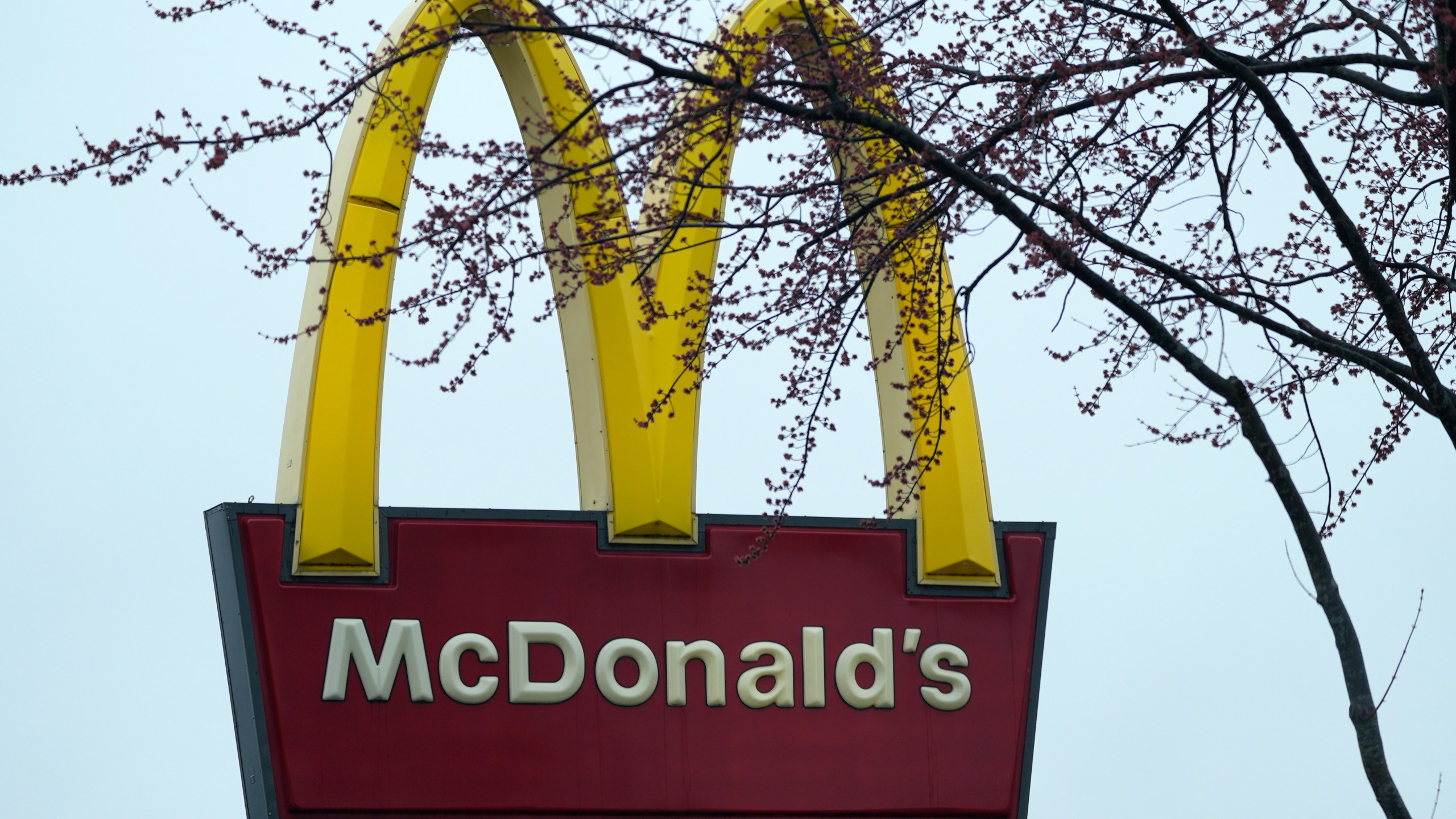 FILE - A McDonald's sign is seen, March 14, 2024, in Wheeling, Ill. McDonald’s is fighting back against viral tweets and media reports that it says have exaggerated its price increases. (AP Photo/Nam Y. Huh, File)