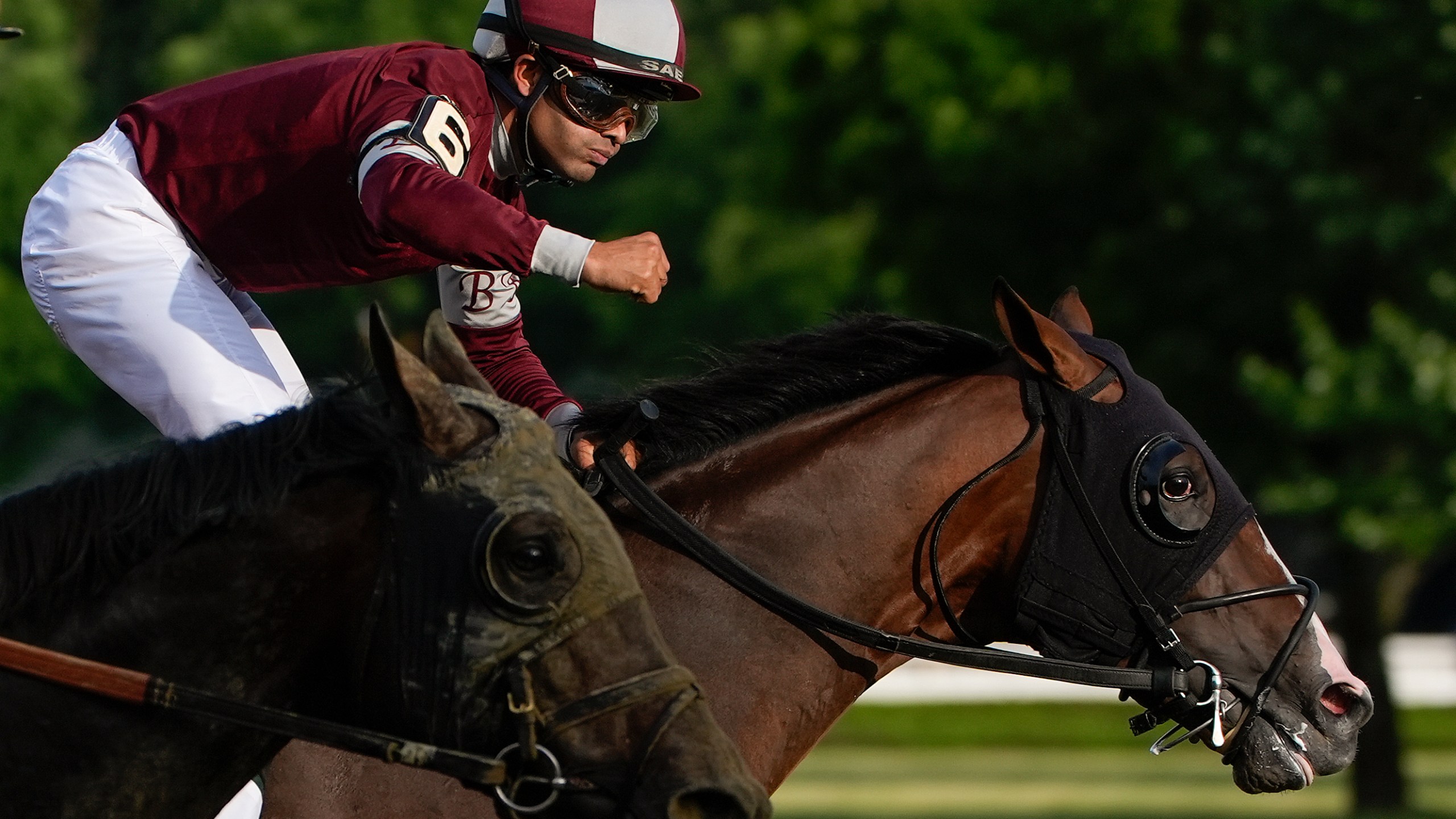 Luis Saez reacts after winning the 156th running of the Belmont Stakes horse race aboard Dornoch (6), Saturday, June 8, 2024, in Saratoga Springs, N.Y. (AP Photo/Julia Nikhinson)