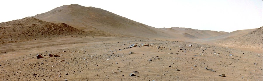 The reddish surface of Mars scattered with rocks.