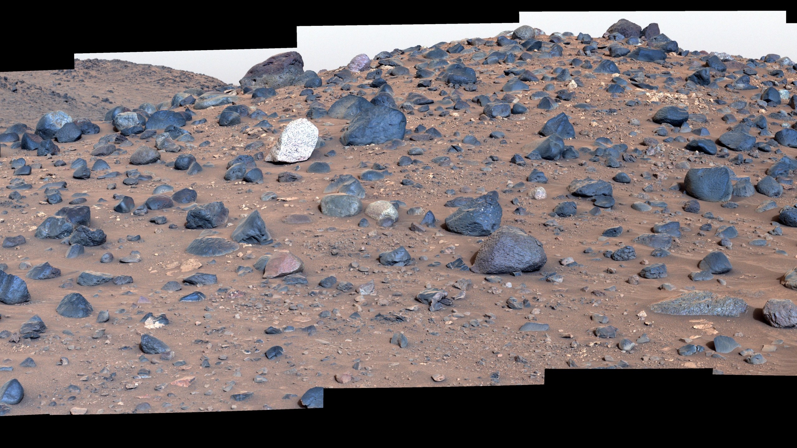 An image of a field of rocks on Mars with one white rock in the middle.