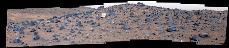 An image of a field of rocks on Mars with one white rock in the middle.