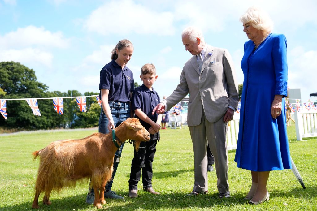 Britain's King Charles III, centre right, and Queen Camilla, right, view a rare Golden Guernsey Goats during a visit to Les Cotils at L'Hyvreuse, in Saint Peter Port, Guernsey during their two day visit to the Channel Islands, Tuesday July 16, 2024. (Andrew Matthews/PA via AP)