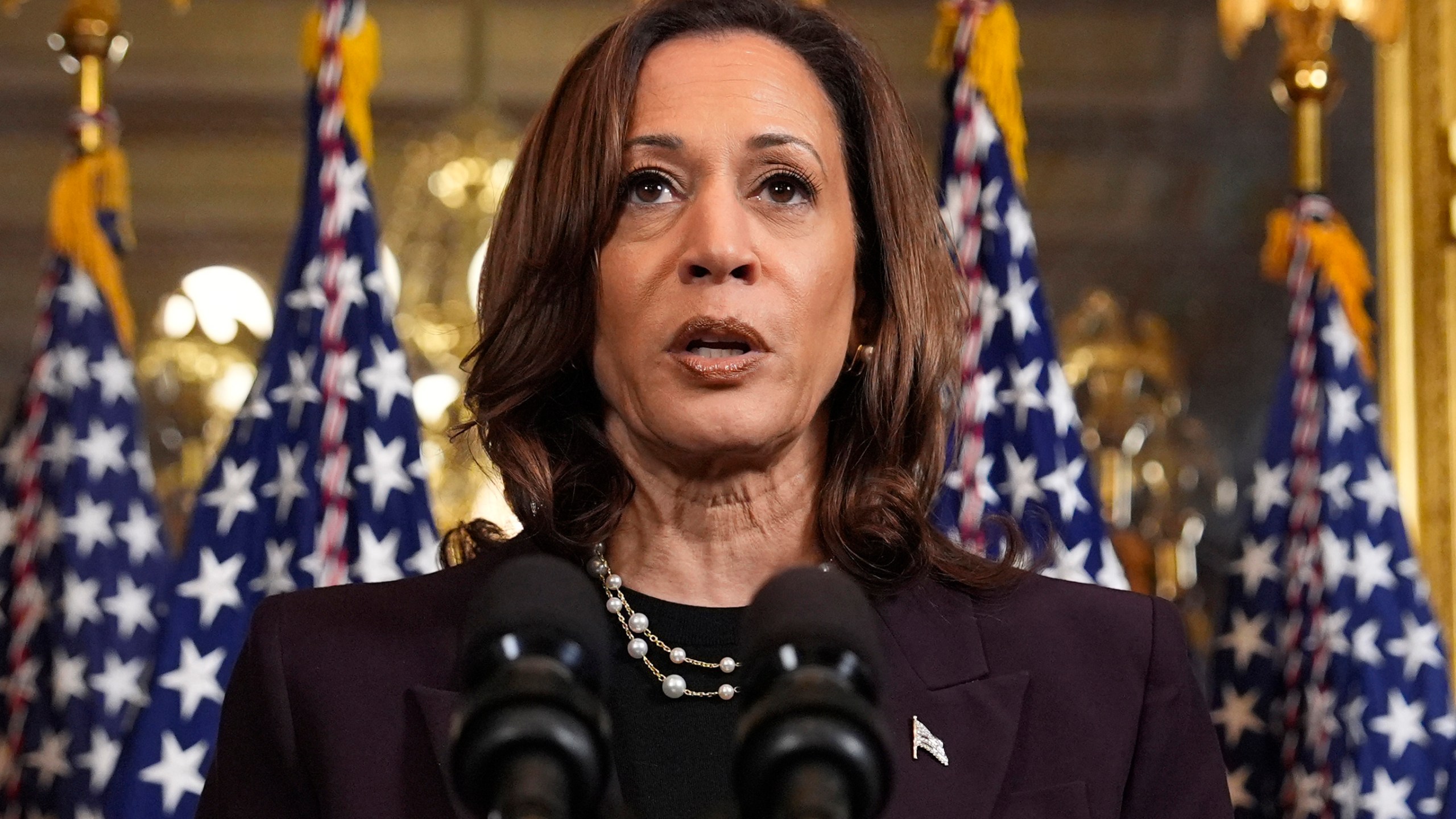 FILE - Vice President Kamala Harris speaks following a meeting with Israeli Prime Minister Benjamin Netanyahu in Washington, July 25, 2024. Just days after launching her White House campaign, Harris tiptoed along one of the most divisive fault lines in Democratic politics on Thursday as she met with Netanyahu. Harris called her meeting with the Israeli leader “frank and constructive.” (AP Photo/Julia Nikhinson, FILE)