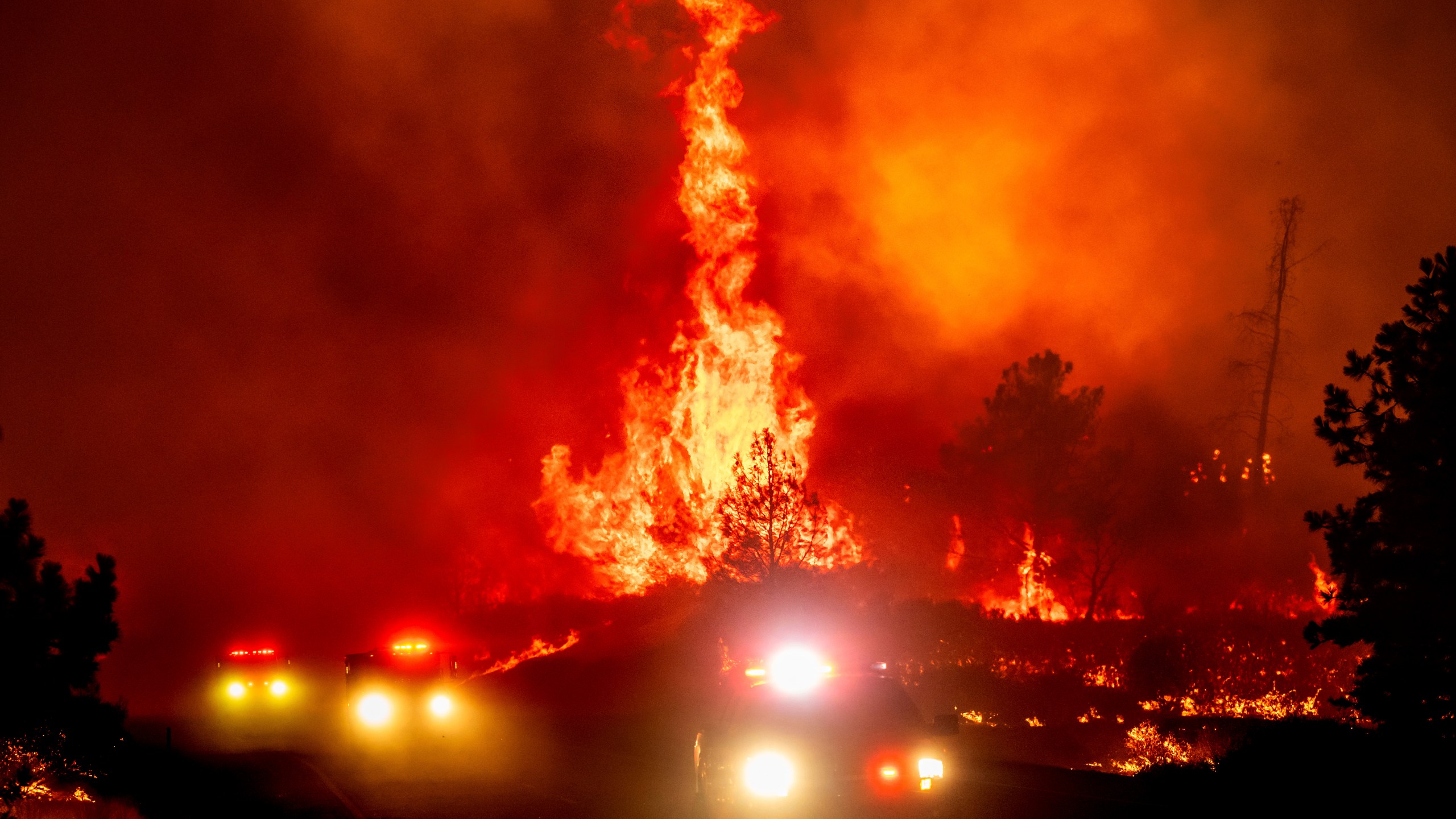 Flames leap above fire vehicles as the Park Fire jumps Highway 36 near Paynes Creek in Tehama County, Calif., Friday, July 26, 2024. (AP Photo/Noah Berger)