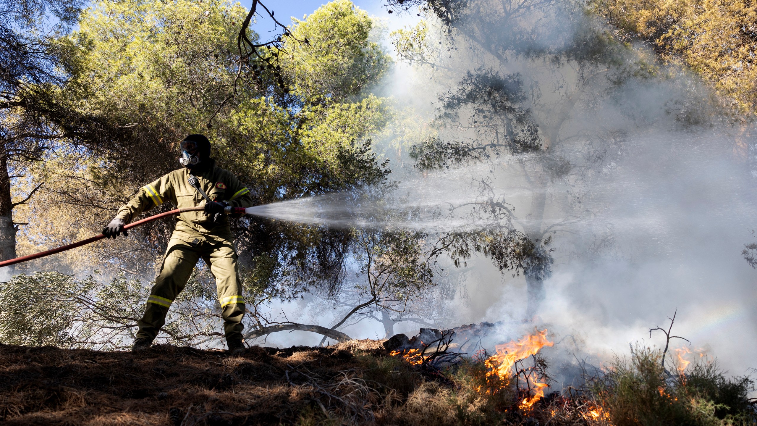 FILE - A firefighter struggles to extinguish a forest fire at Keratea area, southeast of Athens, Greece, Sunday, June 30, 2024. Authorities on Monday, July 29, ordered multiple evacuations due to a wildfire on the island of Evia in southern Greece, with conditions worsening after nightfall when firefighting planes and helicopters were unable to operate. (AP Photo/Yorgos Karahalis, File)