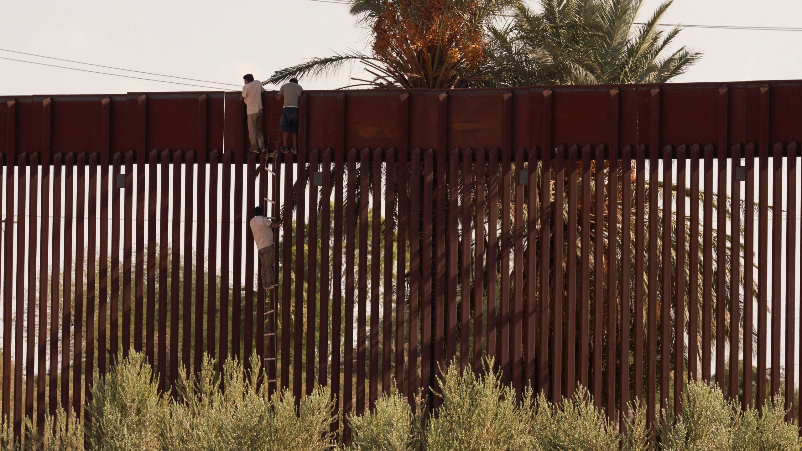 Migrants use a rope ladder to illegally climb over the US Border Wall