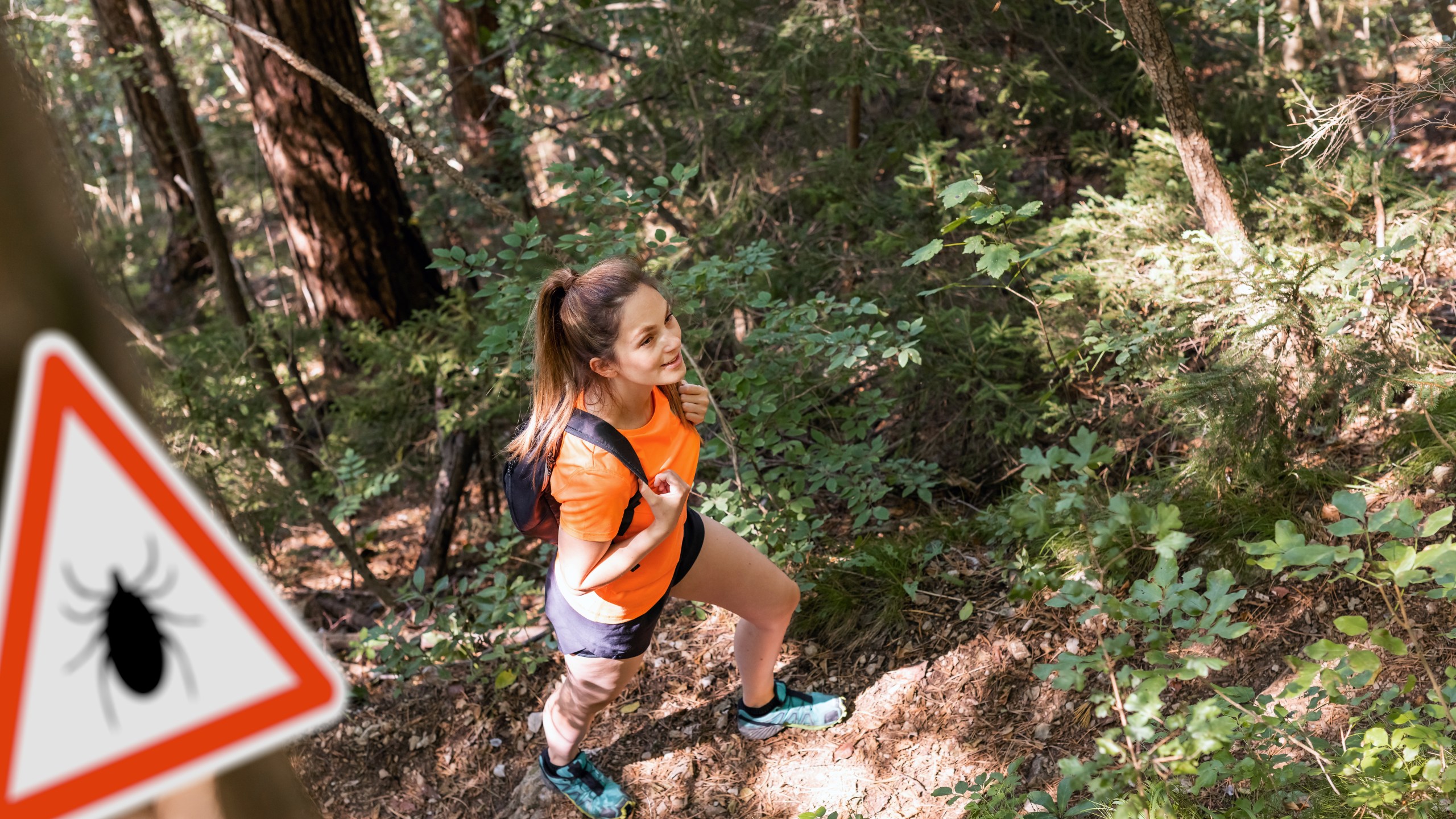 Woman hiking in Infected ticks forest with warning sign. Risk of tick-borne and lyme disease.