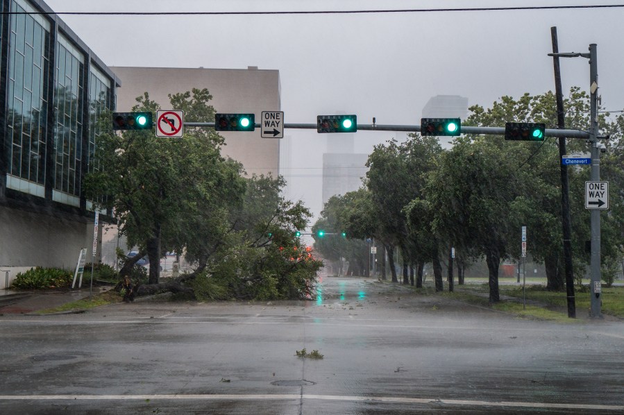 A tree is toppled over by heavy winds during Hurricane Beryl on July 08, 2024 in Houston, Texas. 