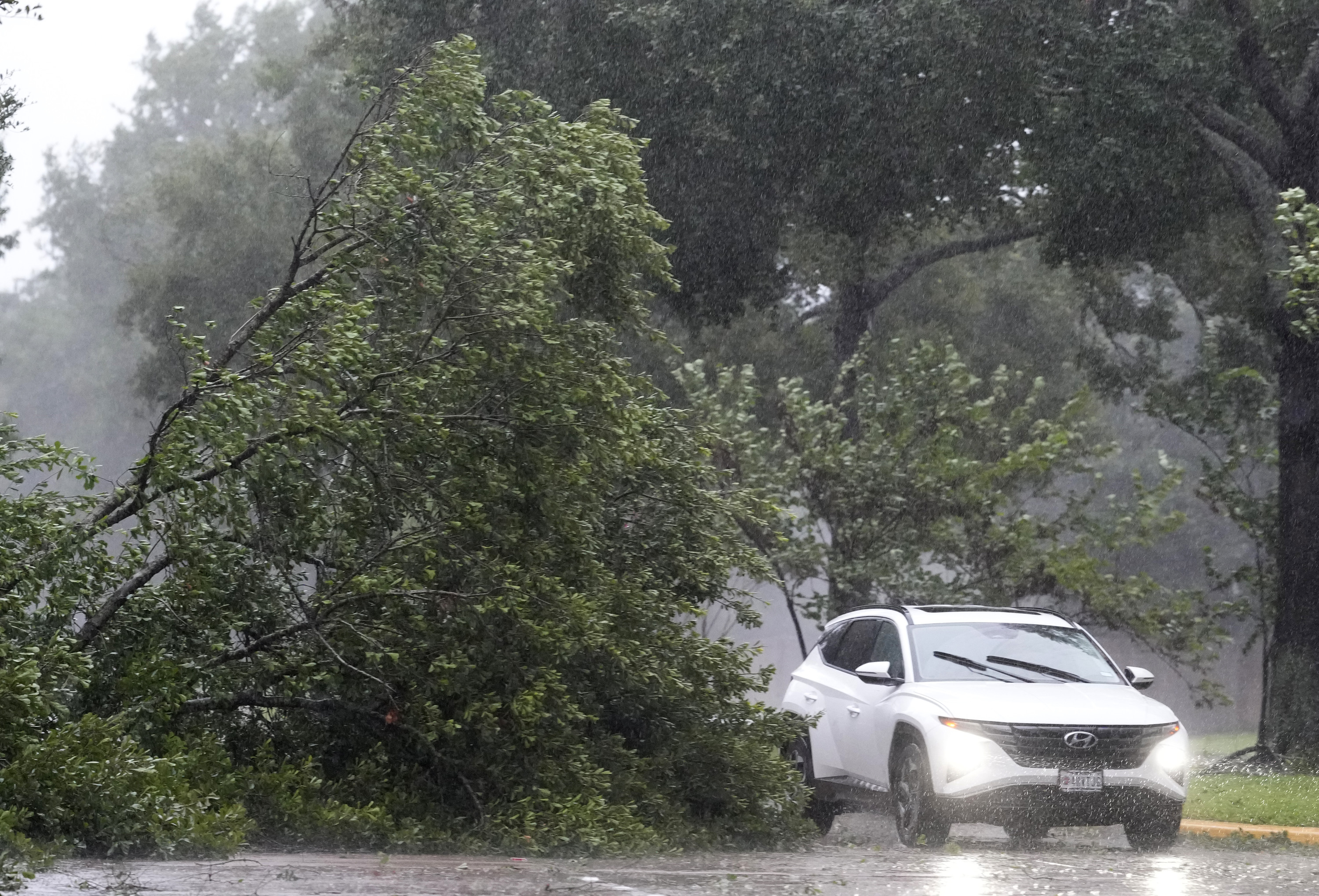 A vehicle maneuvers around a fallen tree on Champion Forest Dr. during Hurricane Beryl Monday, July 8, 2024, in Spring.